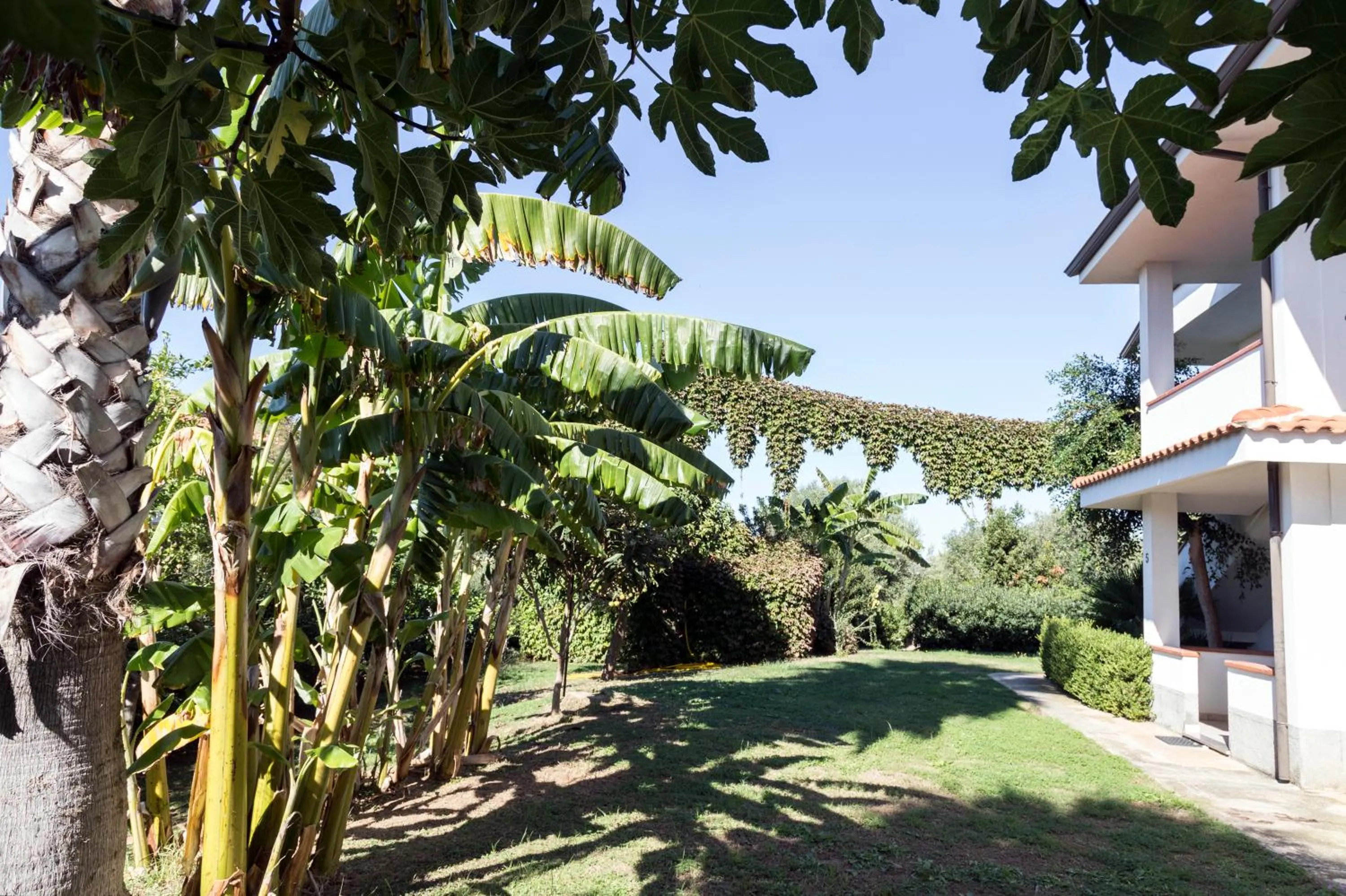 Garden in Happy Days