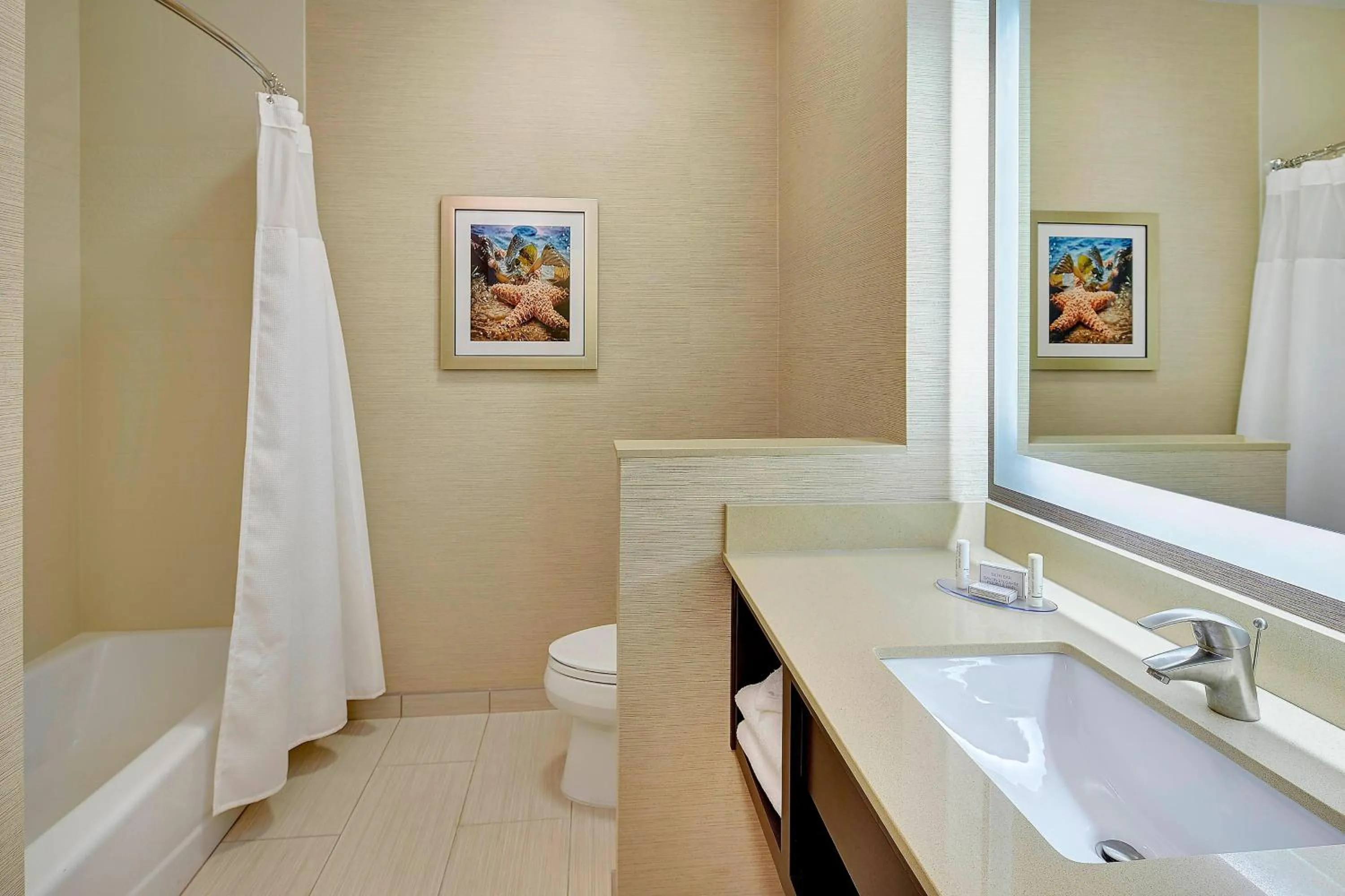 Bathroom in Fairfield Inn & Suites by Marriott San Diego Carlsbad