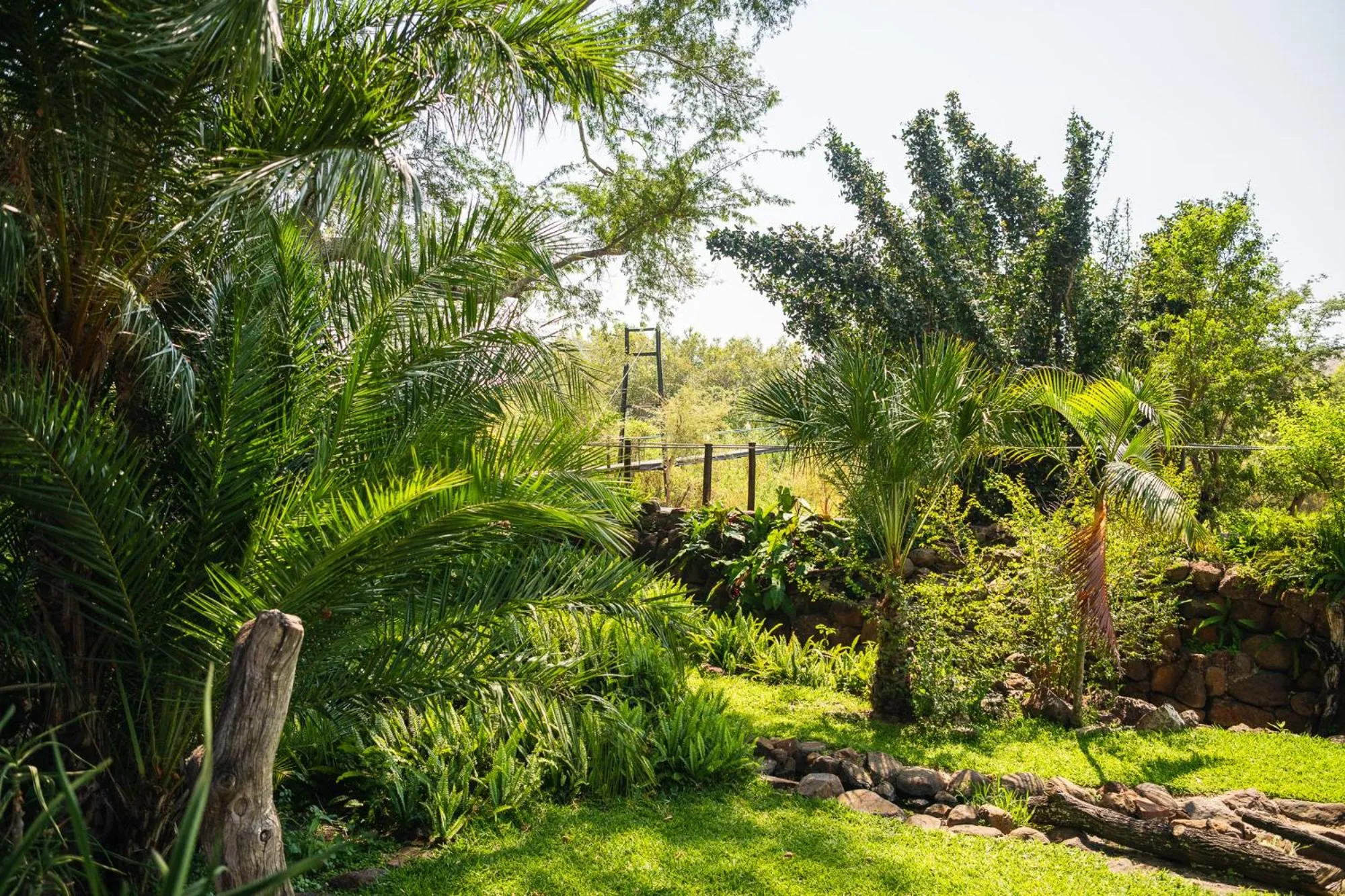 Spring in Chobe Water Villas