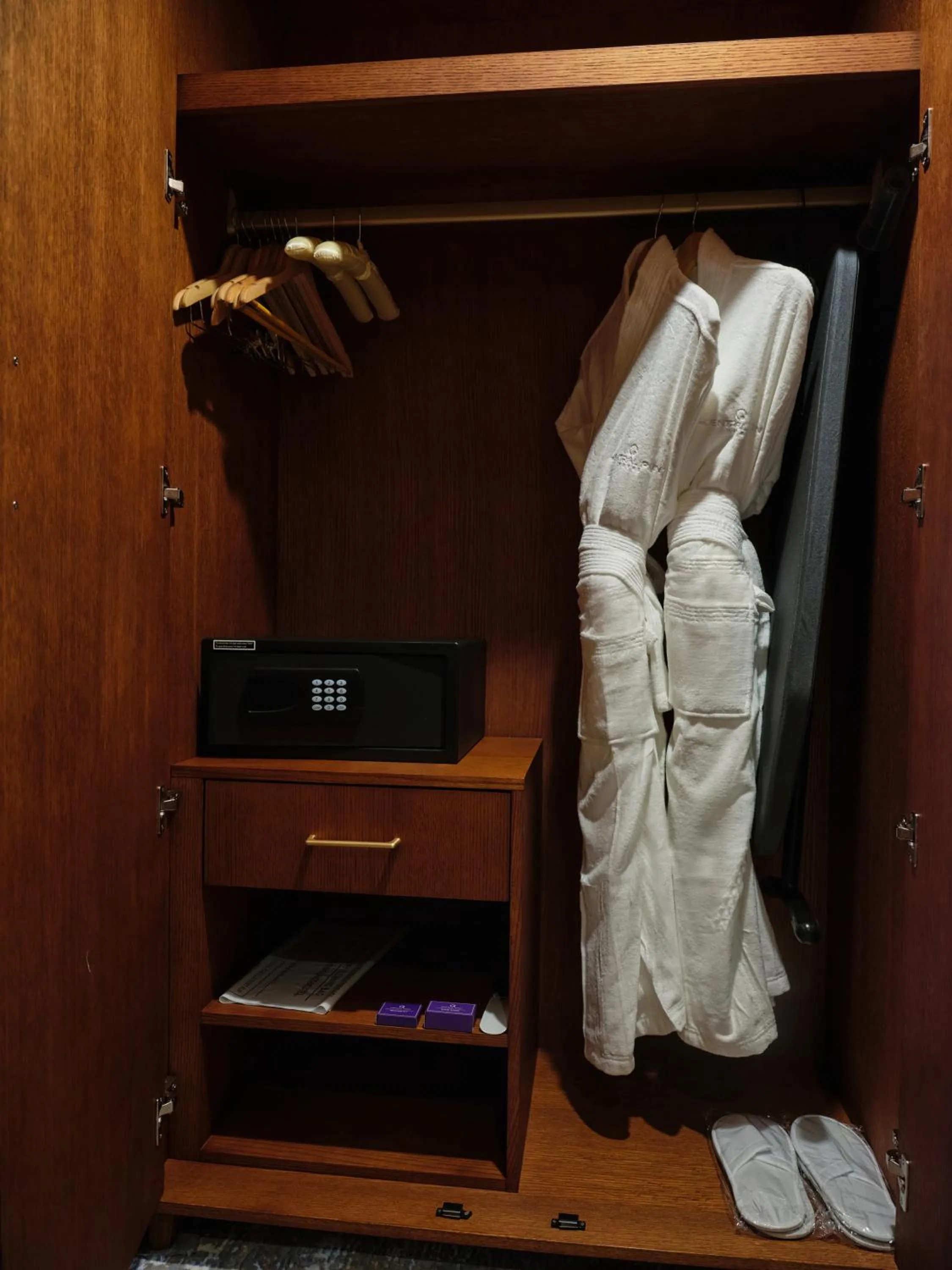 wardrobe in The Central Point Hotel Baku