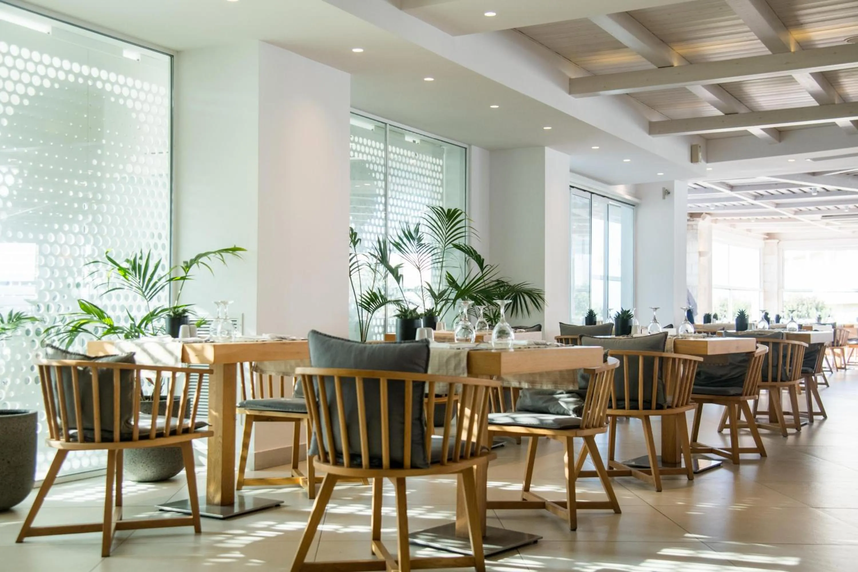 Restaurant/places to eat in Insula Alba Resort & Spa (Adults Only)