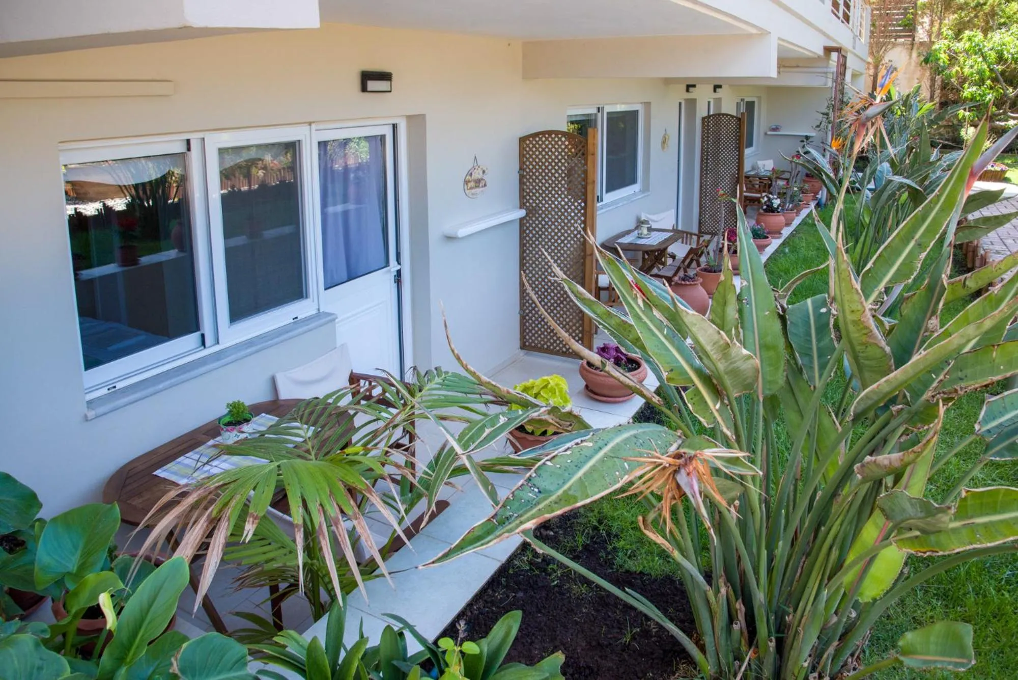 Garden in Stamatakis Boutique Studios