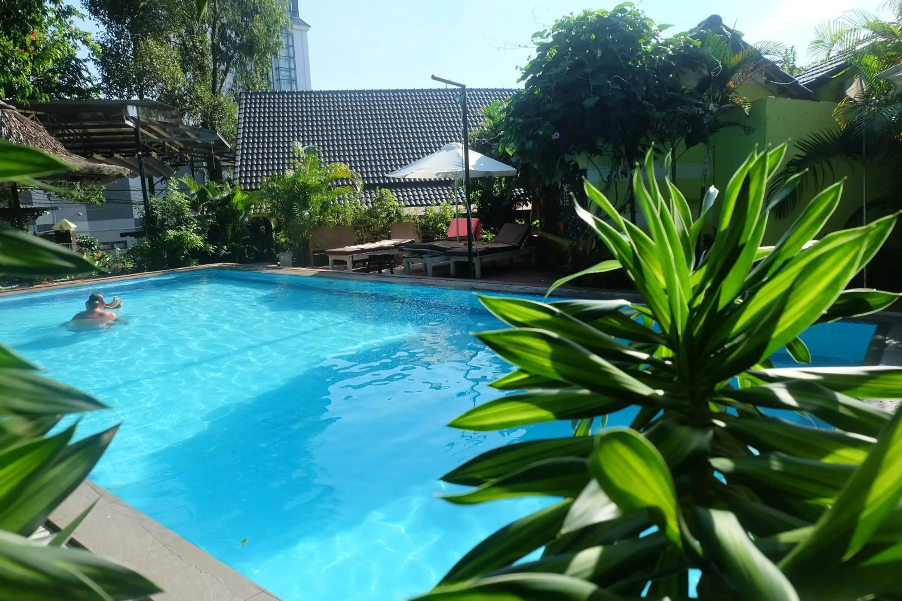 Swimming pool in Bungalow Mai Phuong Binh Swimming pool in Bungalow Mai Phuong Binh