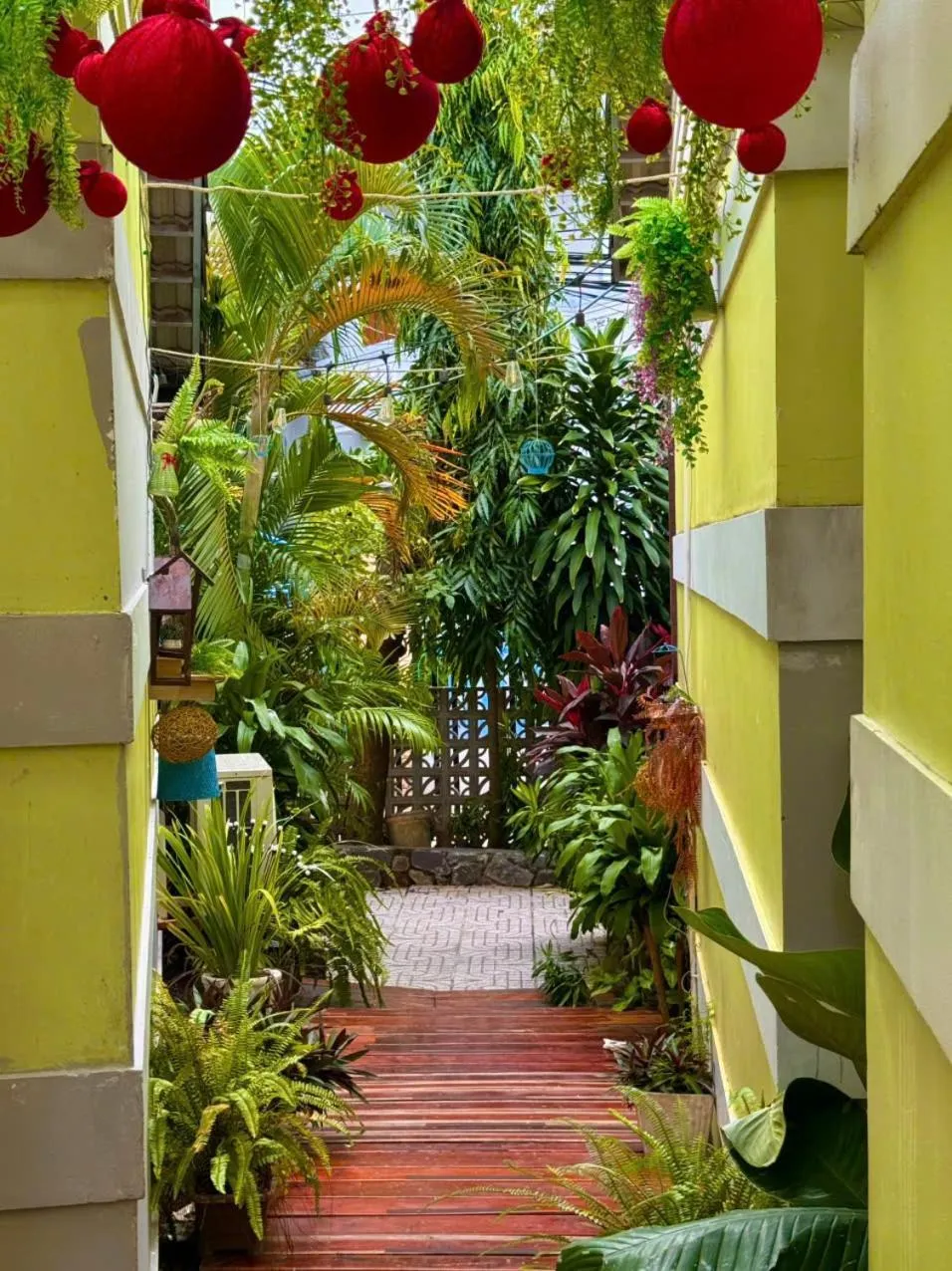 Spring in Bungalow Mai Phuong Binh