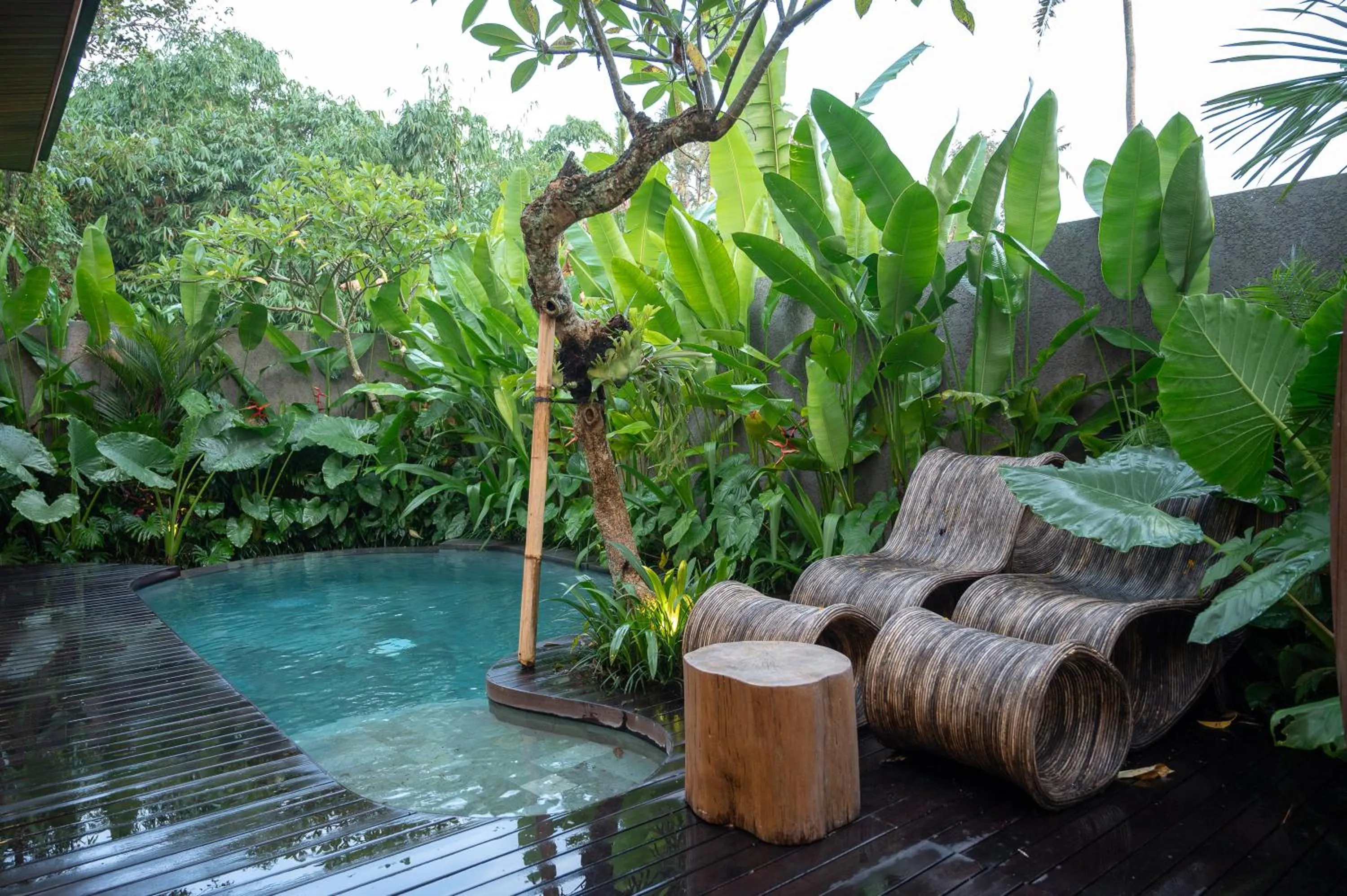 Garden in Villa Suarga Des Anicca