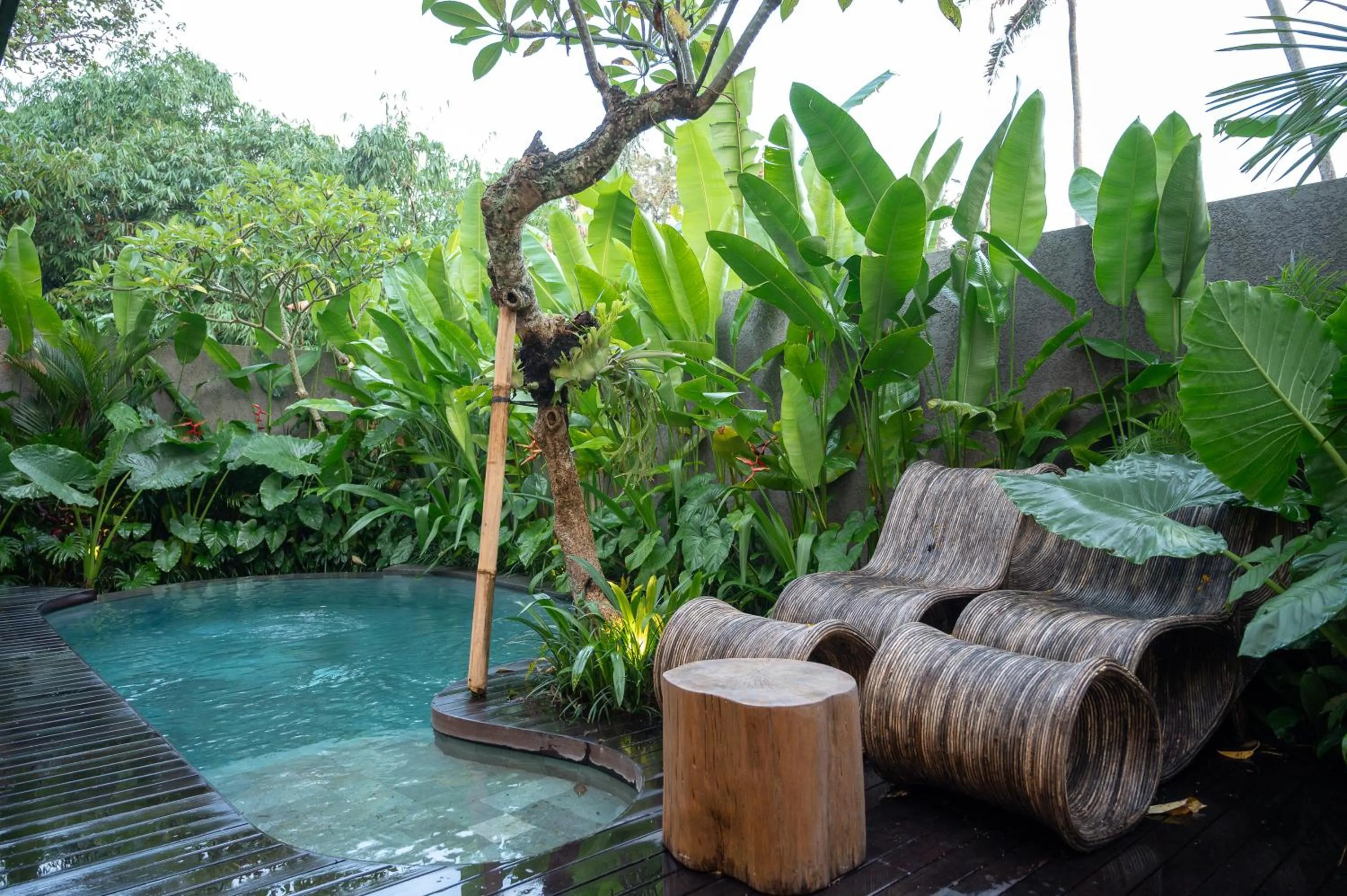 Garden in Villa Suarga Des Anicca