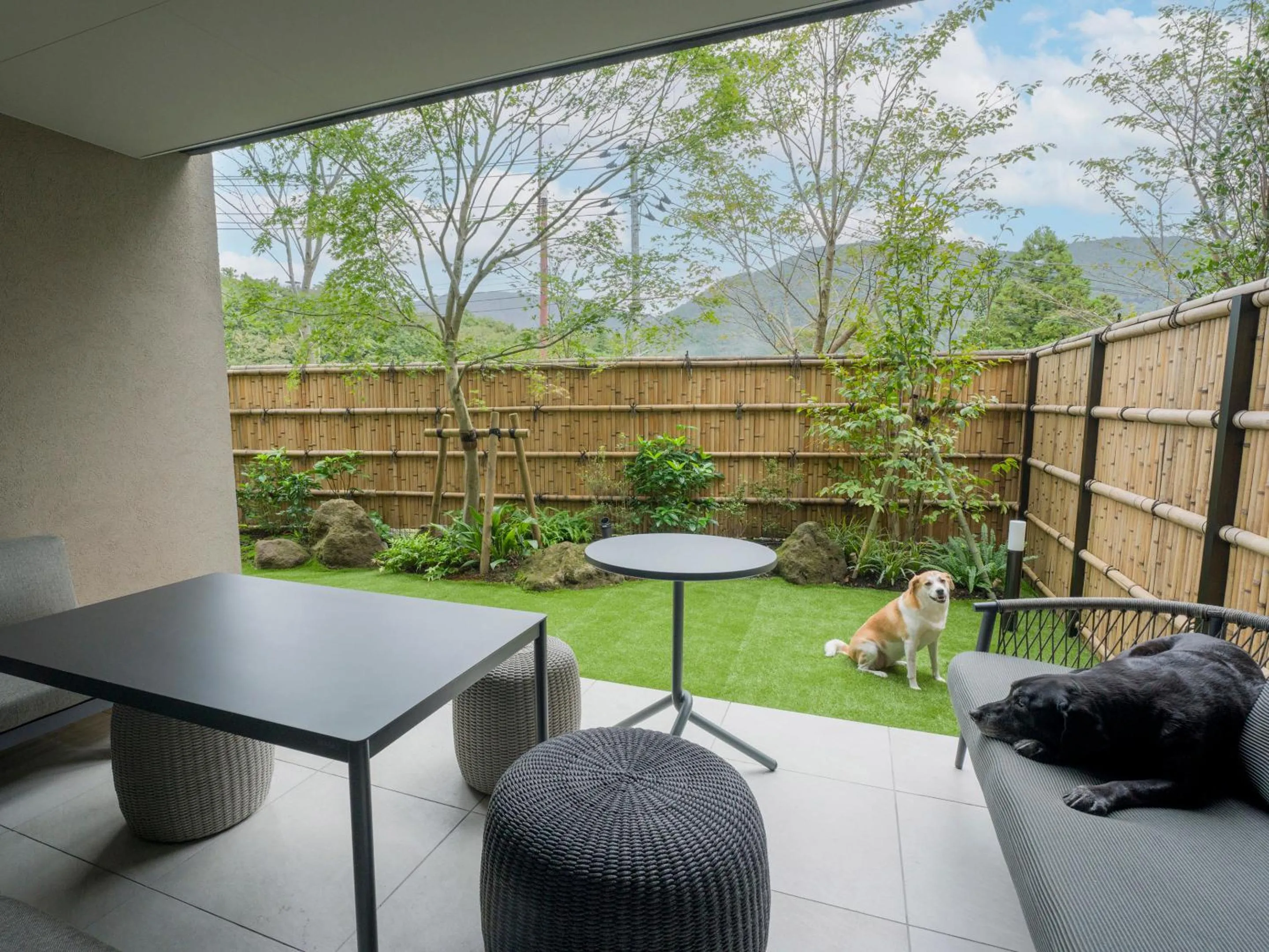 View (from property/room) in Rakuten STAY TERRACE Hakone Kowakudani