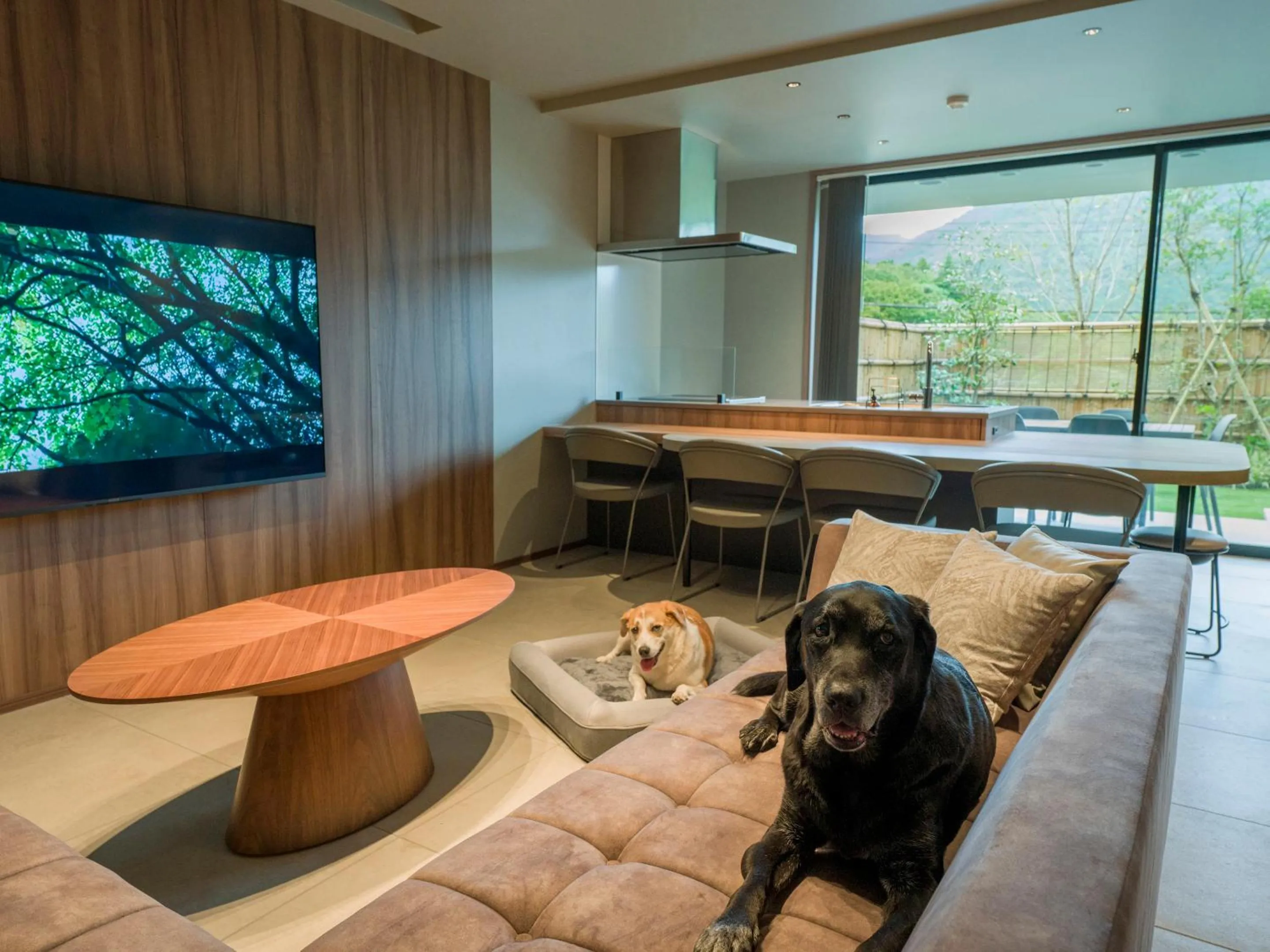 Living room in Rakuten STAY TERRACE Hakone Kowakudani