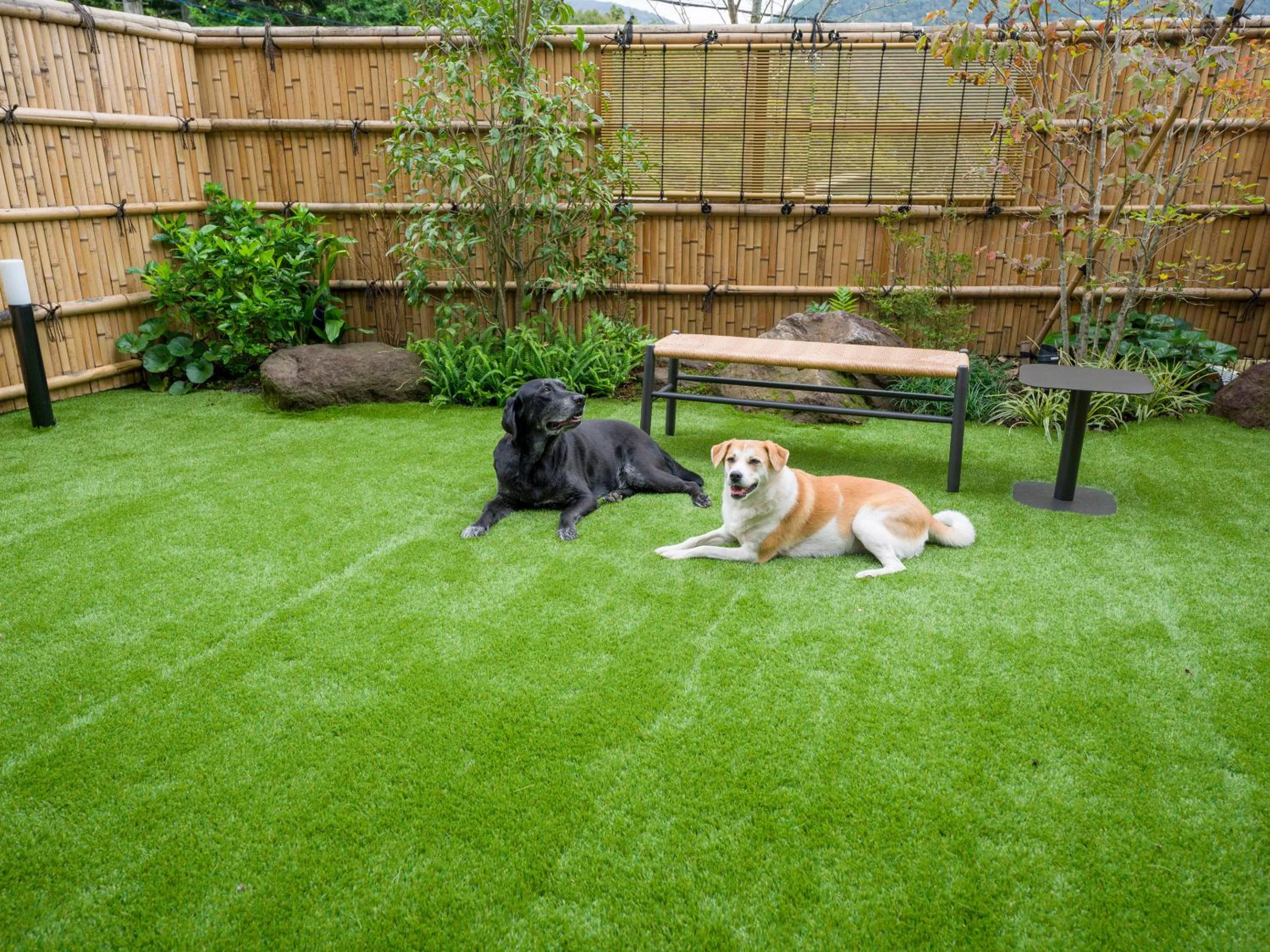 Garden in Rakuten STAY TERRACE Hakone Kowakudani