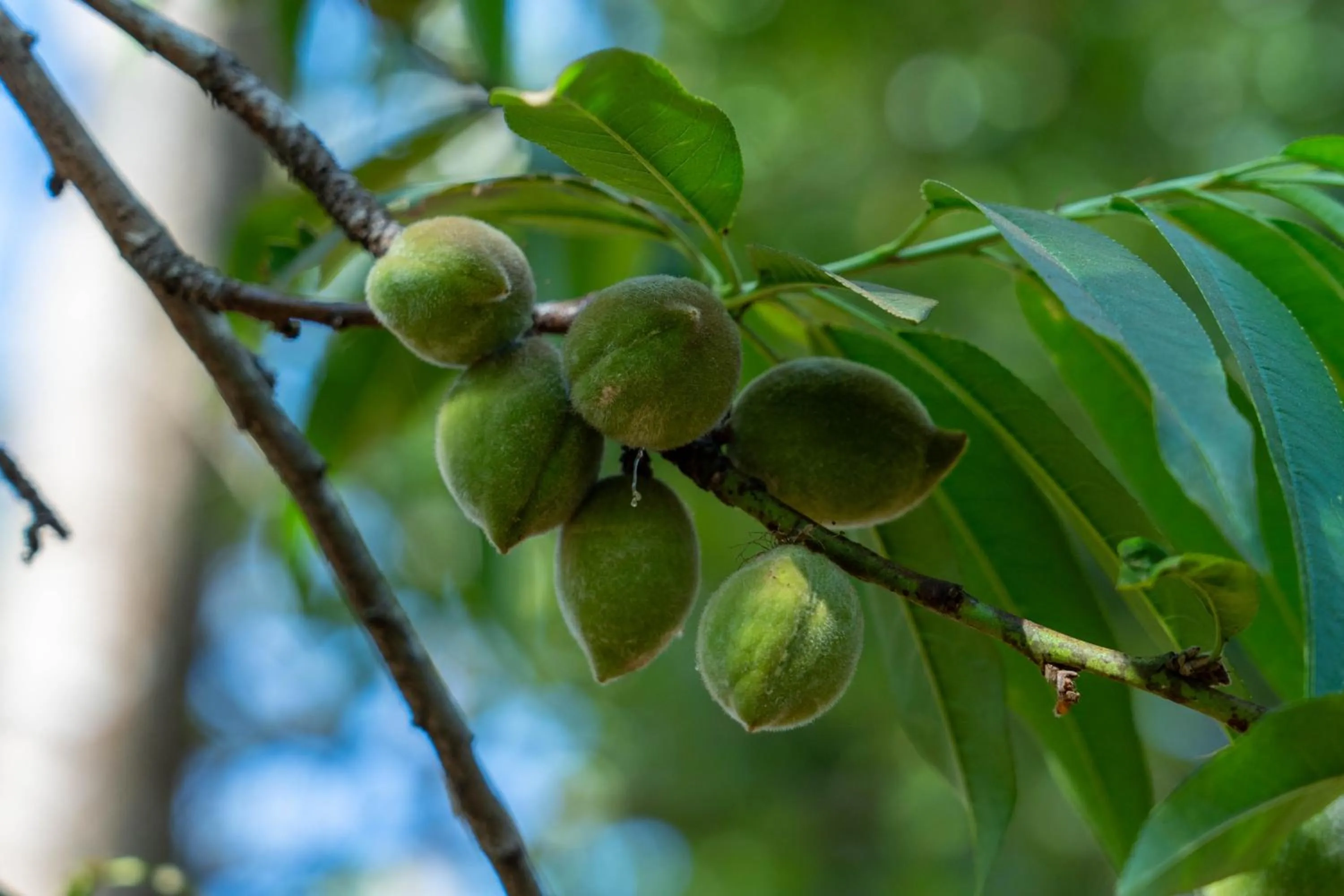 Garden in Turaco Ngorongoro Valley, a Tribute Portfolio Lodge