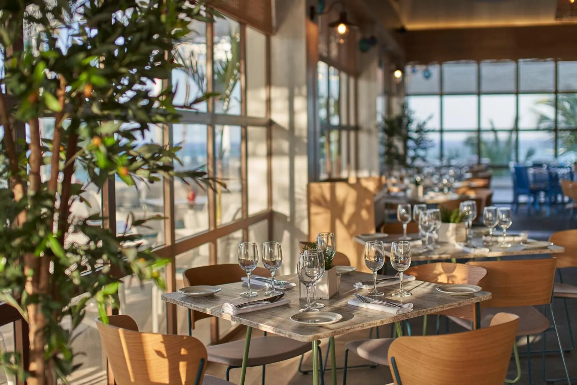 Restaurant/places to eat in Bahia Principe Grand Turquesa - All Inclusive