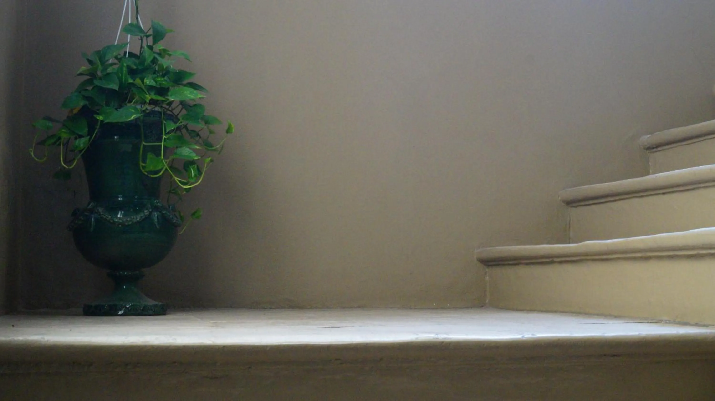 Property building in Historical Suites VVM