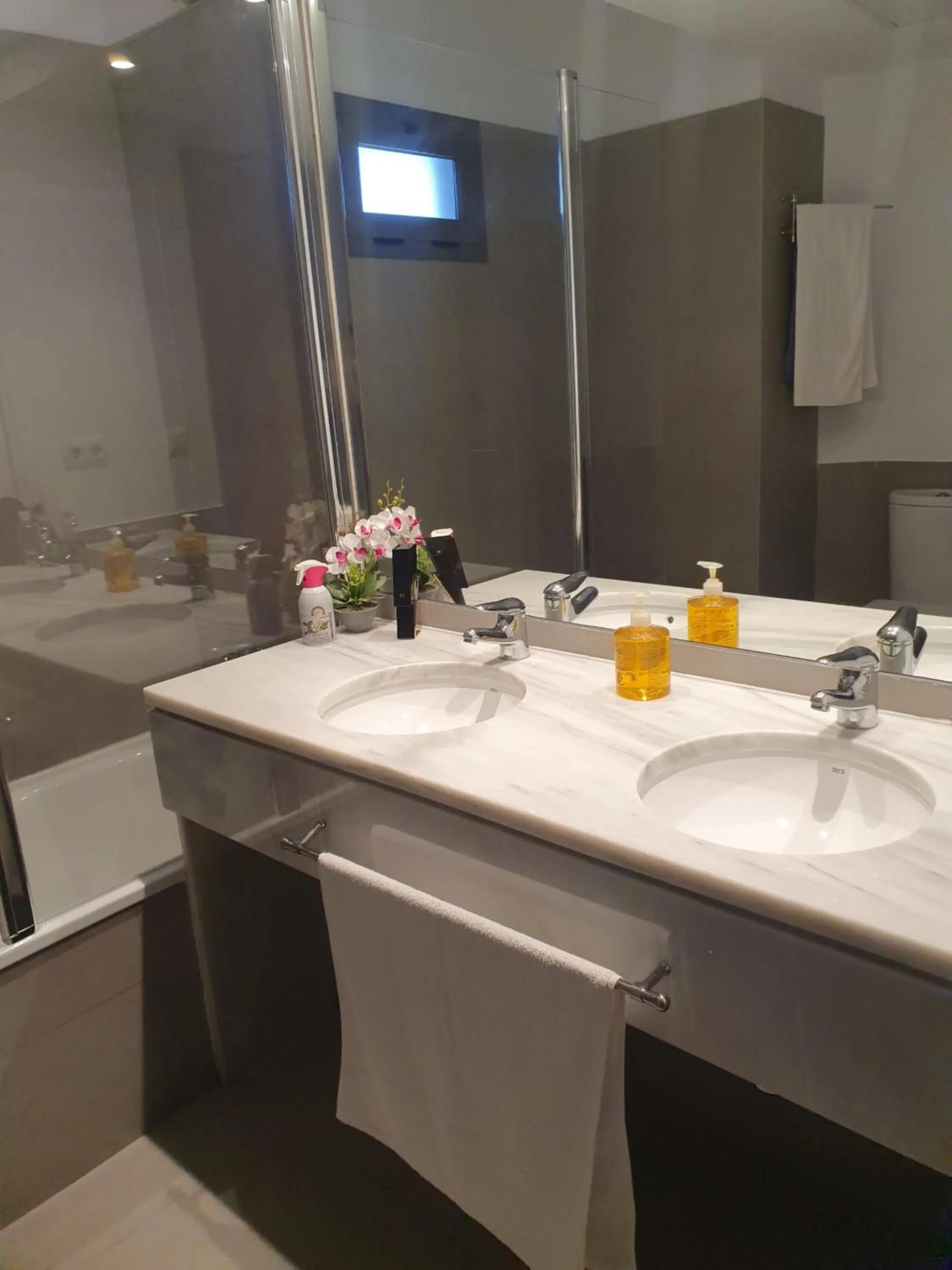 Bathroom in Iberflat Vega de Triana