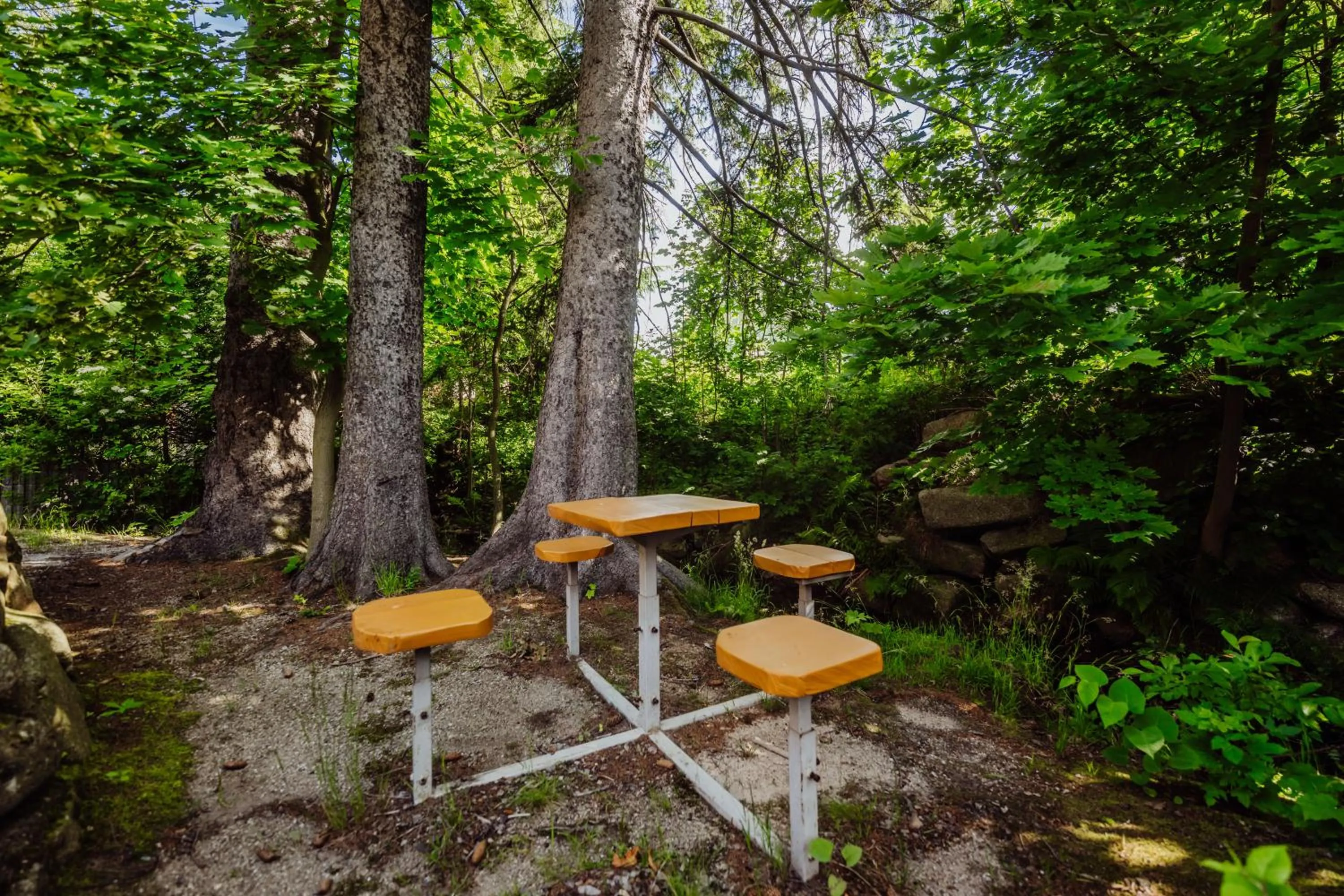 Garden in Hotel Na Skarpie