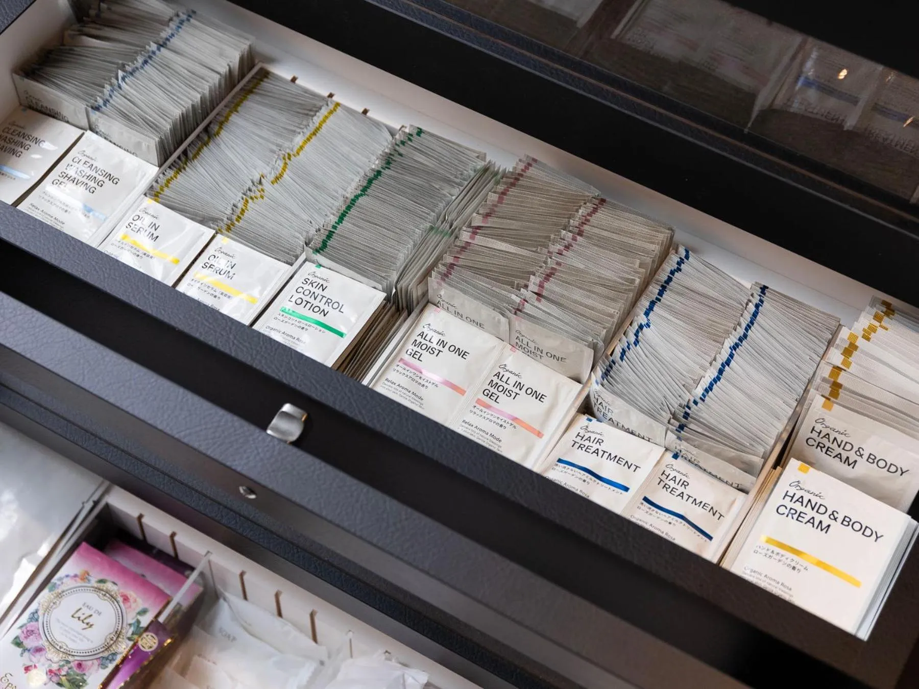 SUPER HOTEL Ikebukuro West Natural Hot Spring