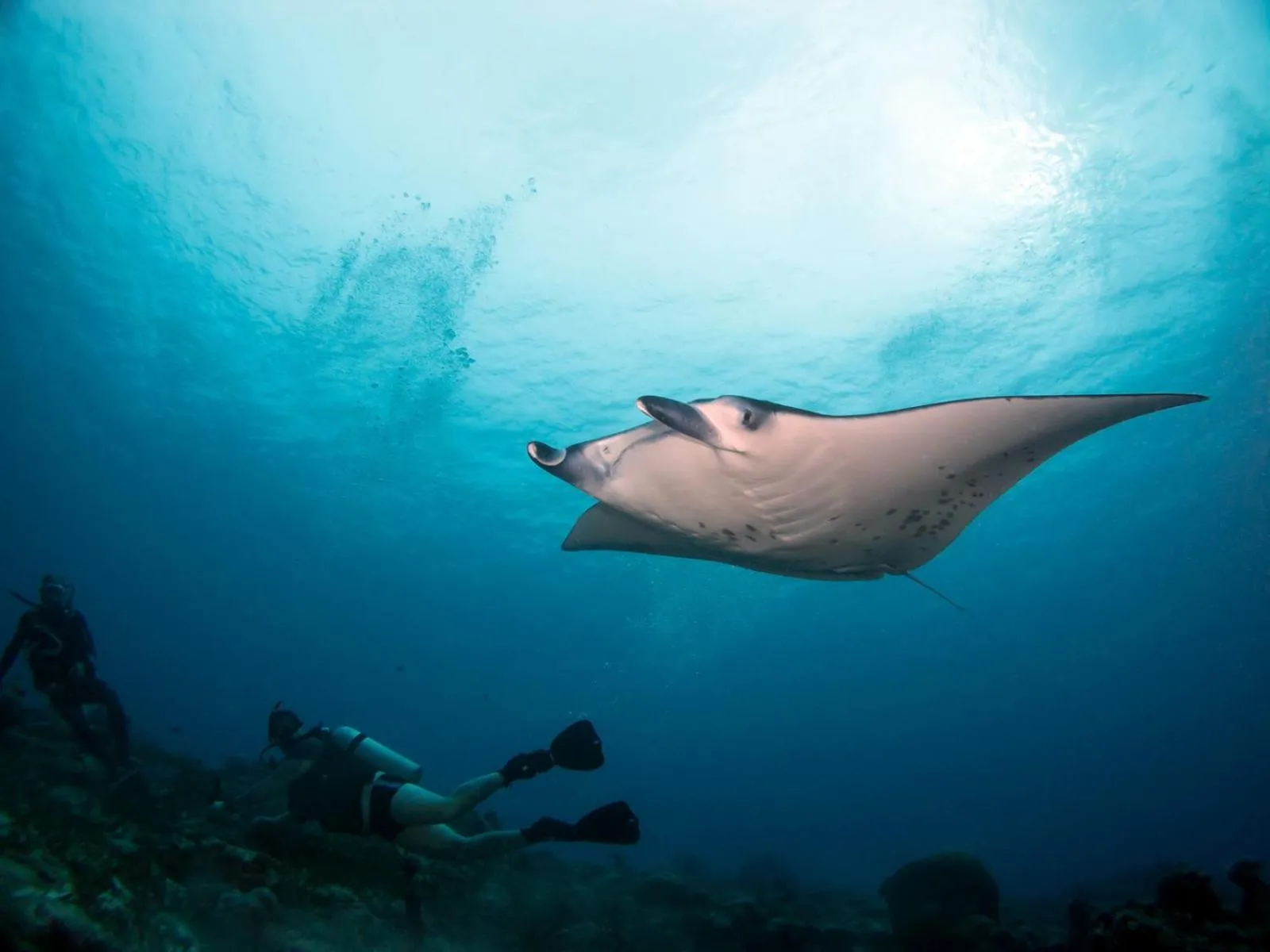 Fishing in Sudamala Resort, Seraya, Flores