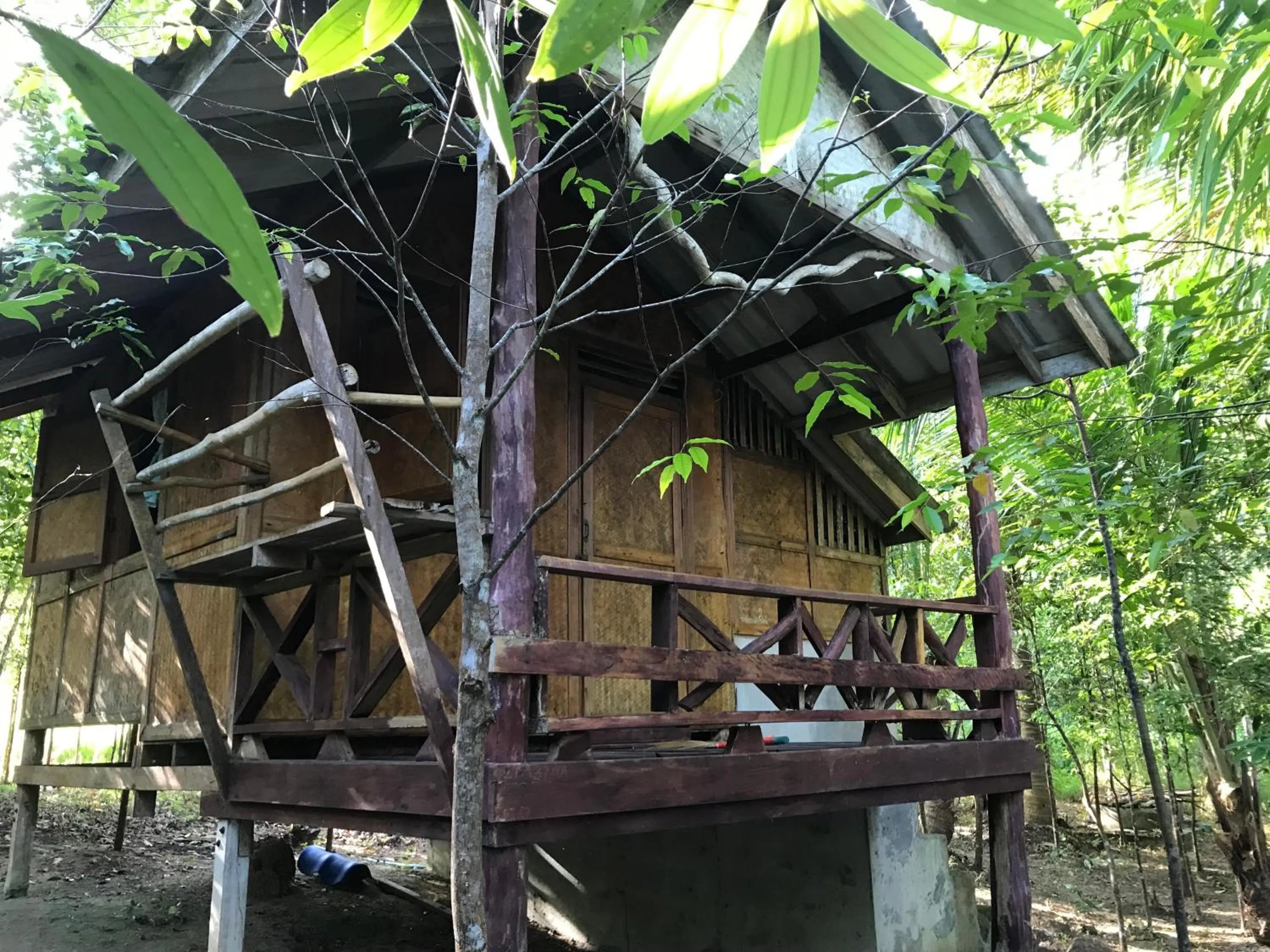 Property Building in Koh Chang Resort