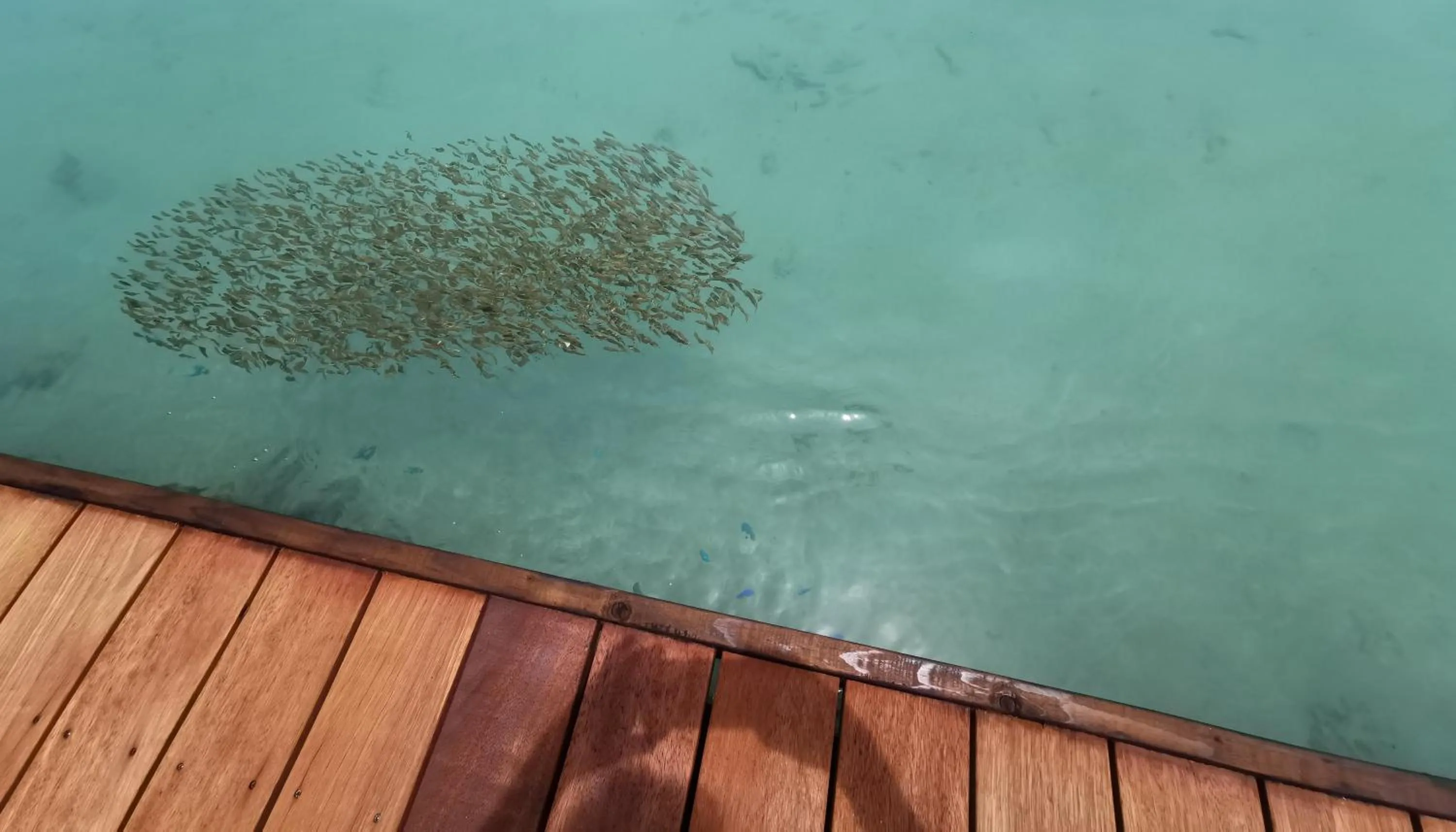 Solarium in Hôtel Fenua Mata'i'oa