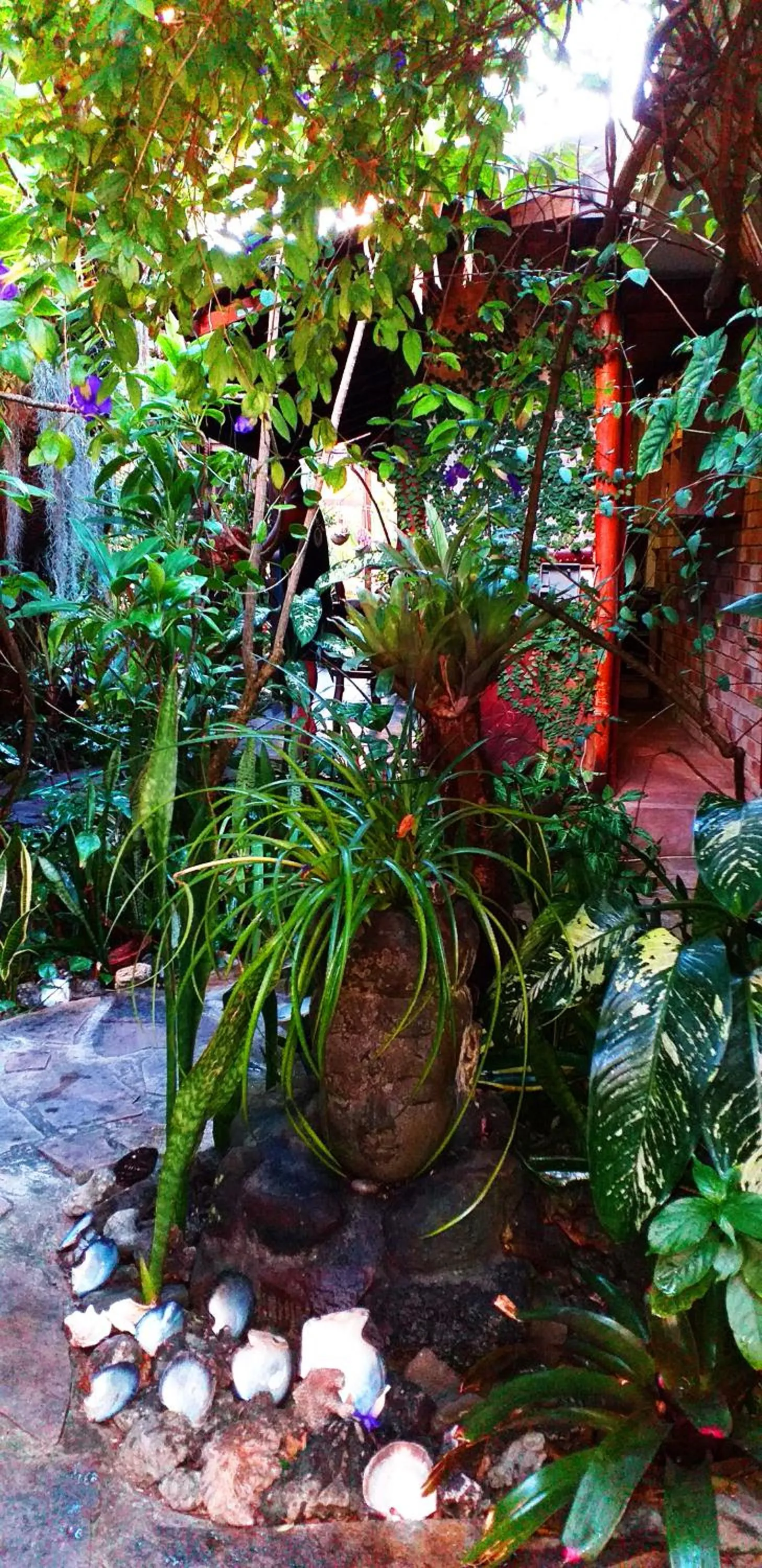 Garden in Hôtel Fenua Mata'i'oa