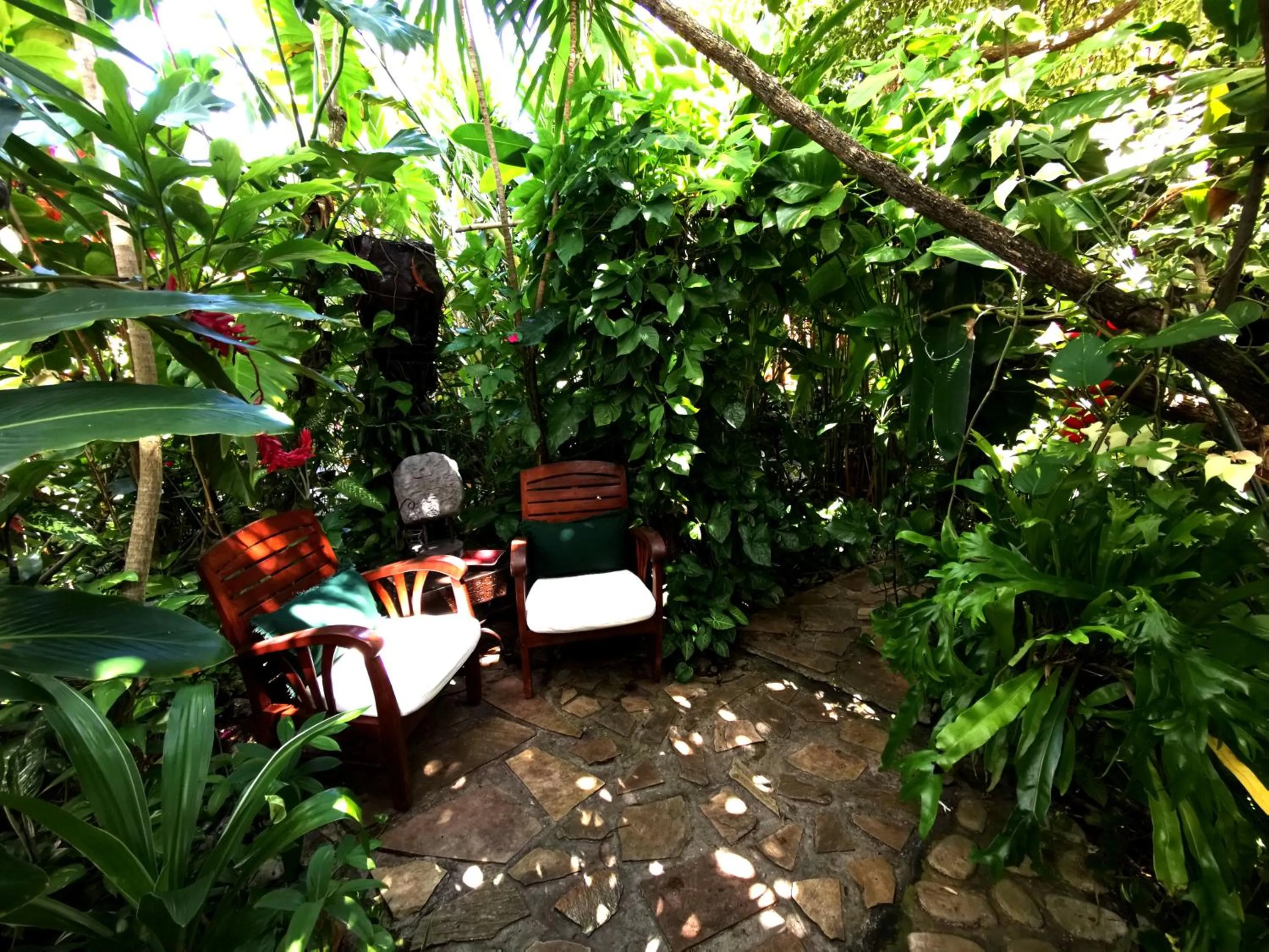 Garden in Hôtel Fenua Mata'i'oa