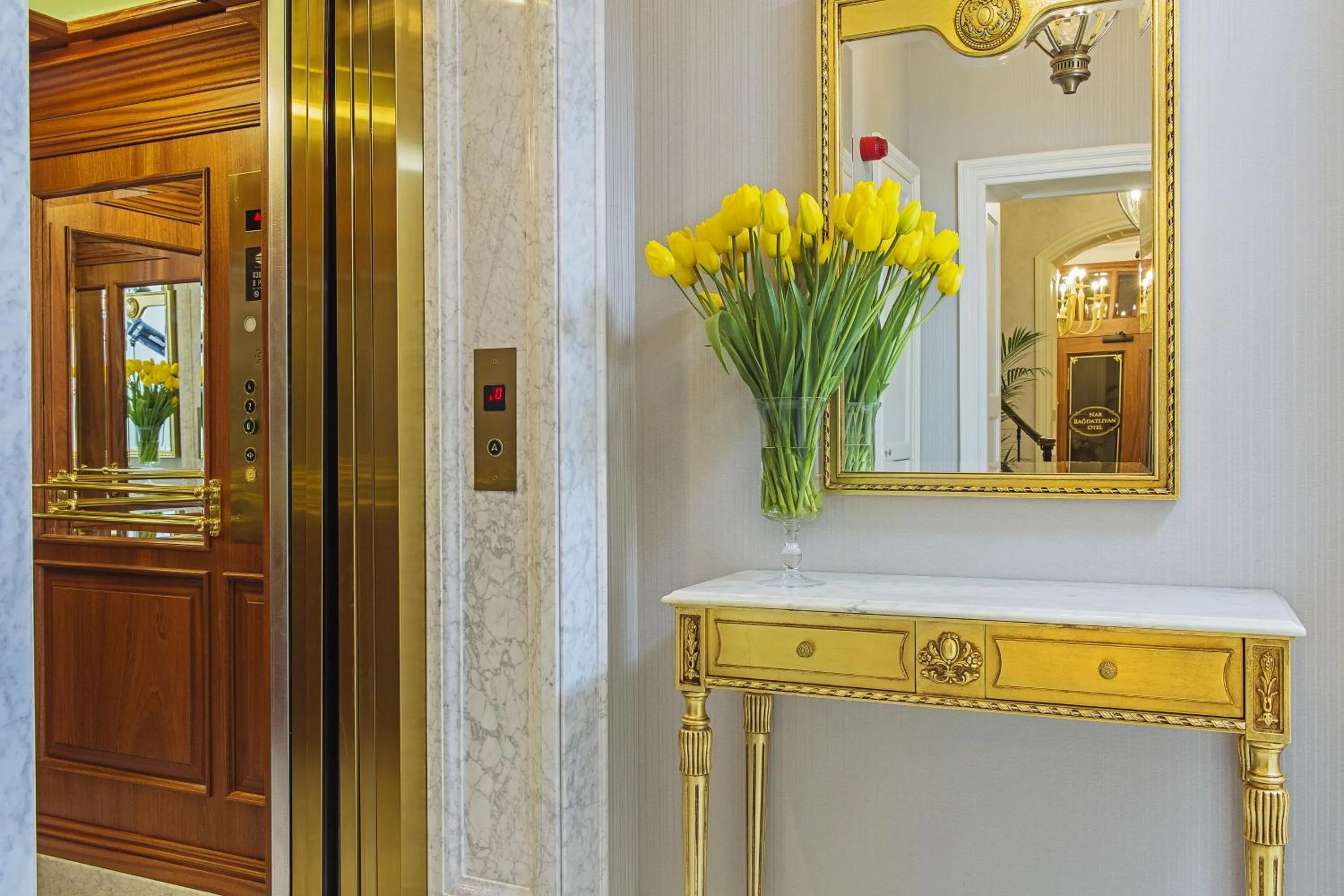 Decorative detail in Meroddi Bağdatlıyan - 1892 Heritage Rooms by Galata Tower