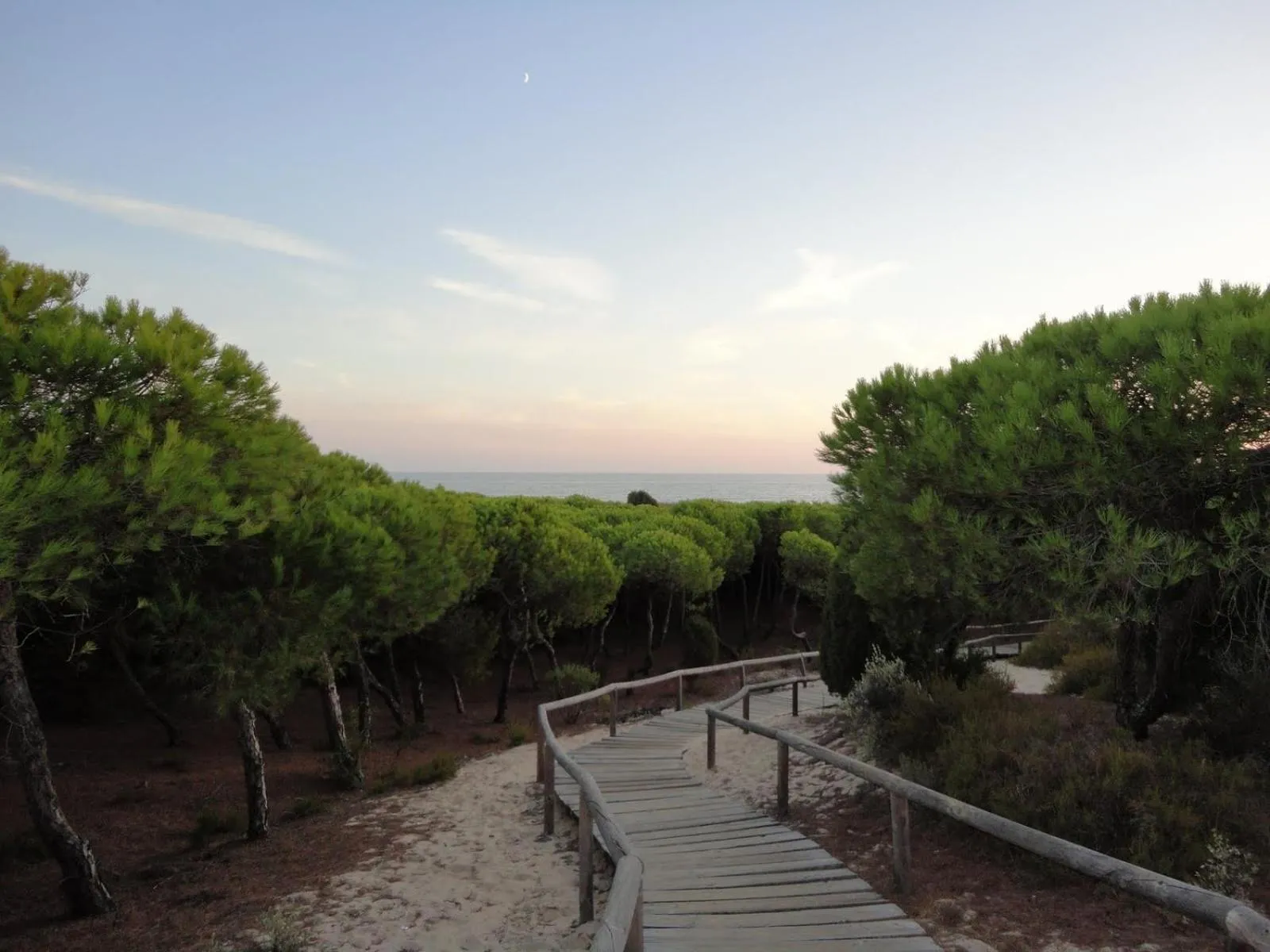 Natural landscape in Leo Punta Umbría