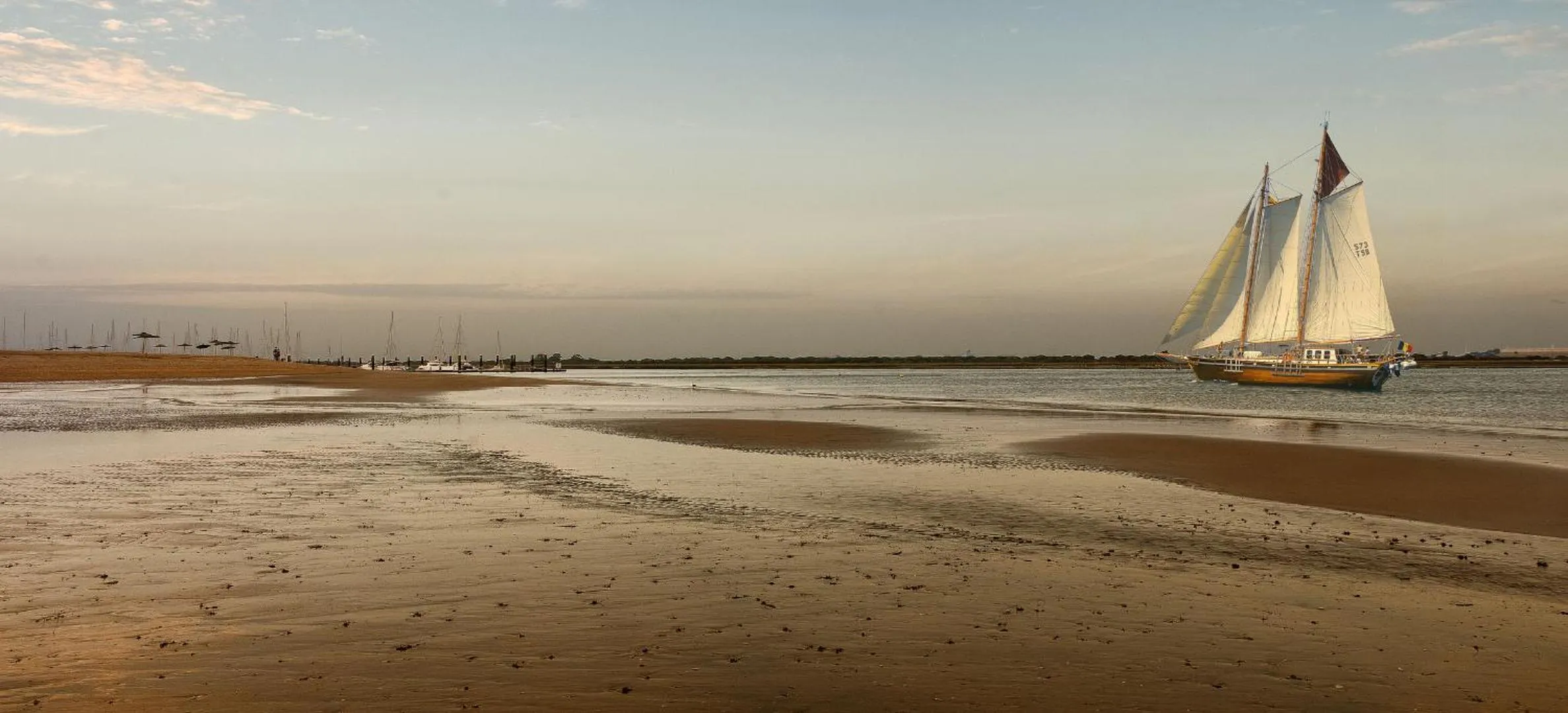 Natural landscape in Leo Punta Umbría