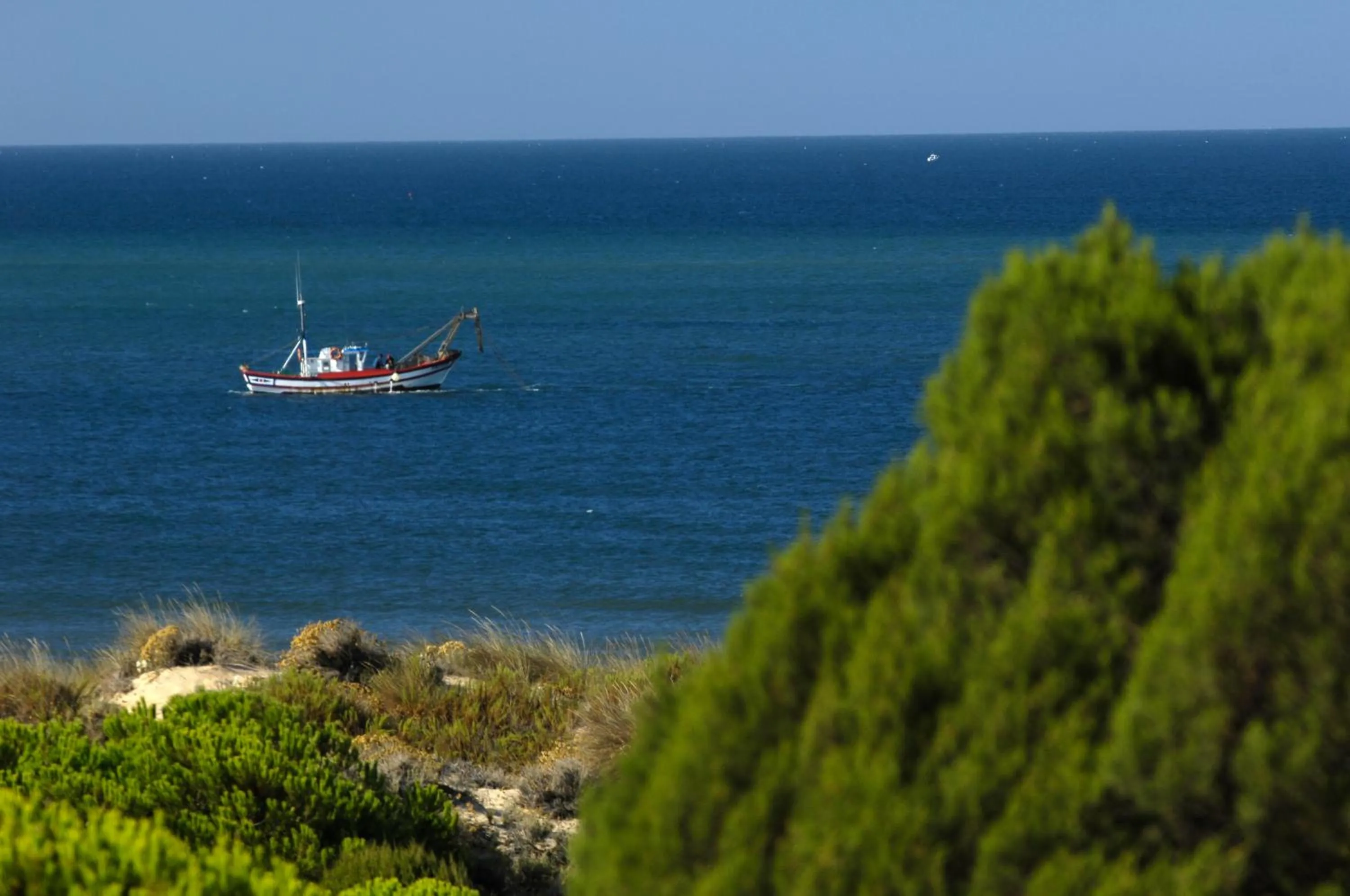 Nearby landmark in Leo Punta Umbría