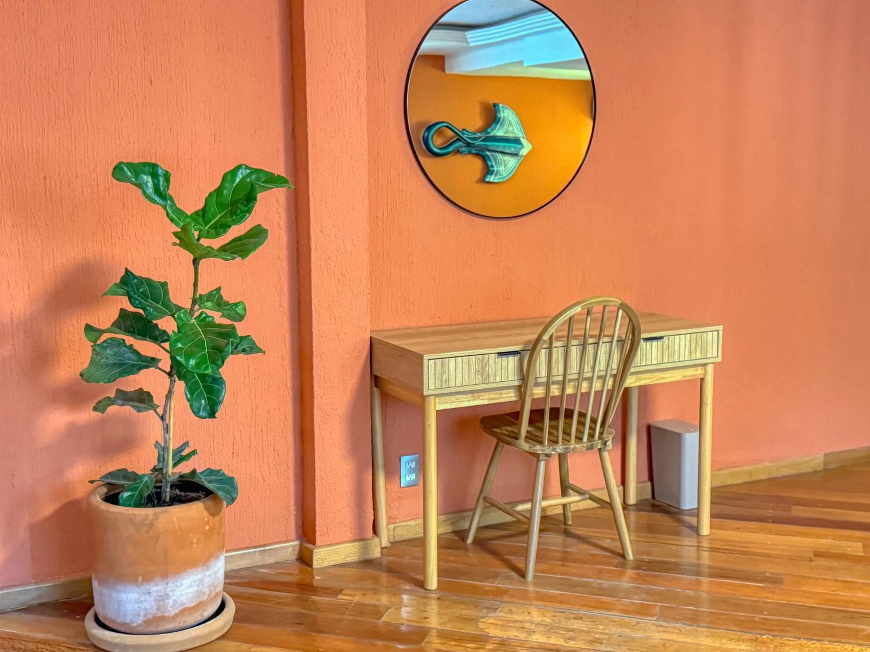 TV and multimedia in Hotel Boutique Casa Alebrije