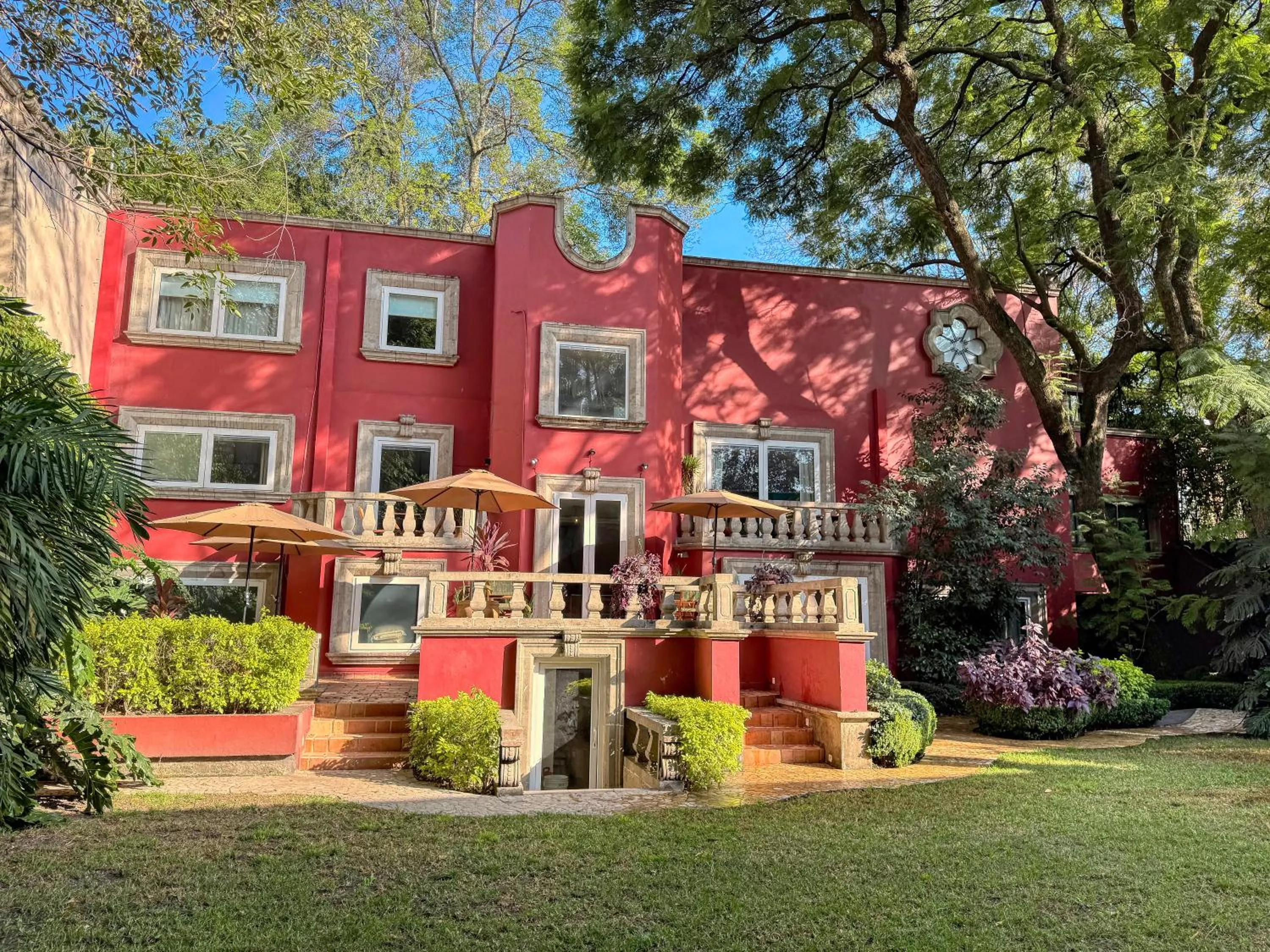 Garden in Hotel Boutique Casa Alebrije