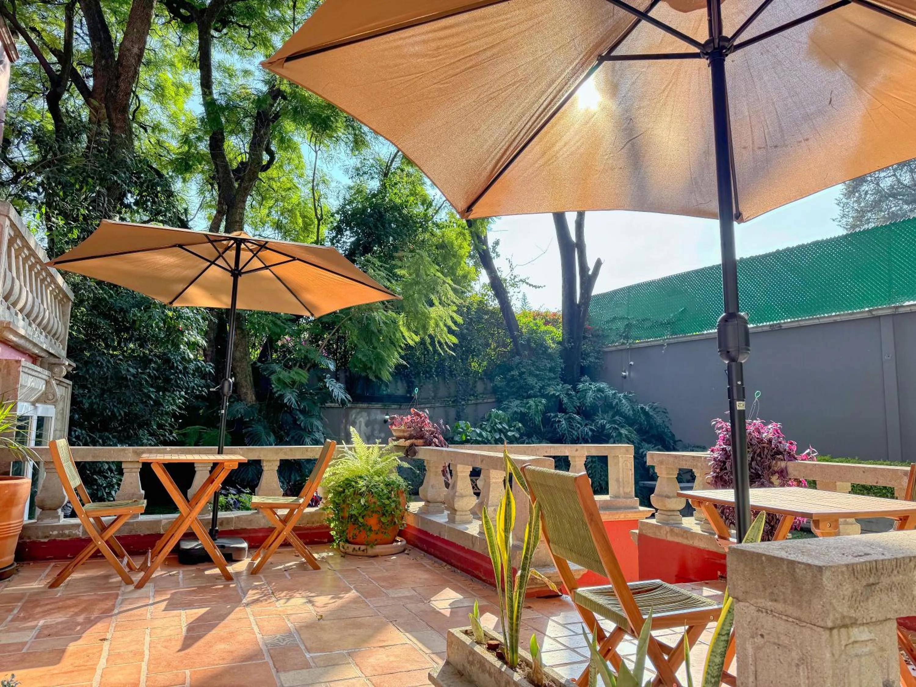 Patio in Hotel Boutique Casa Alebrije