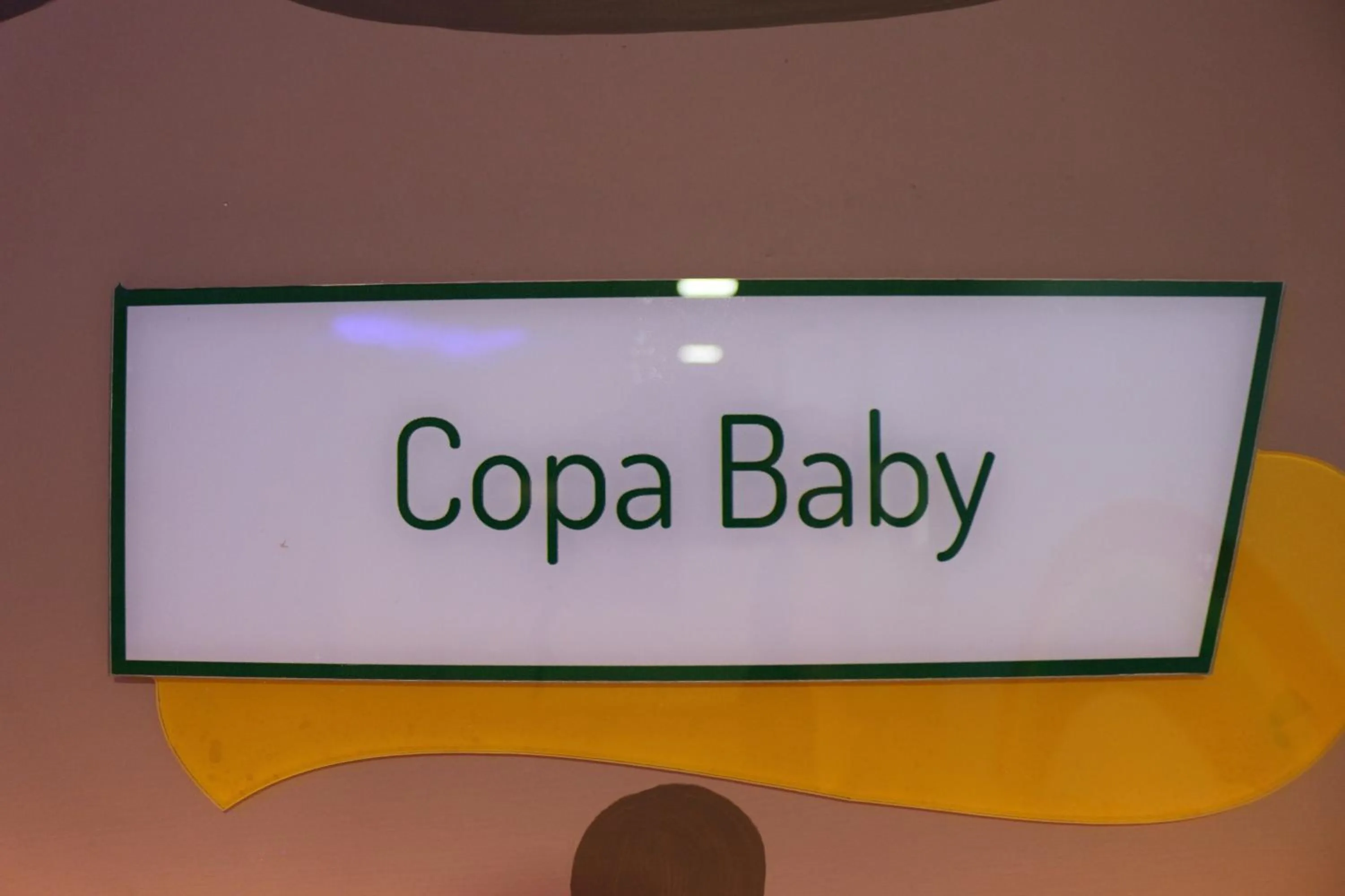 Decorative detail in Herval Park Hotel