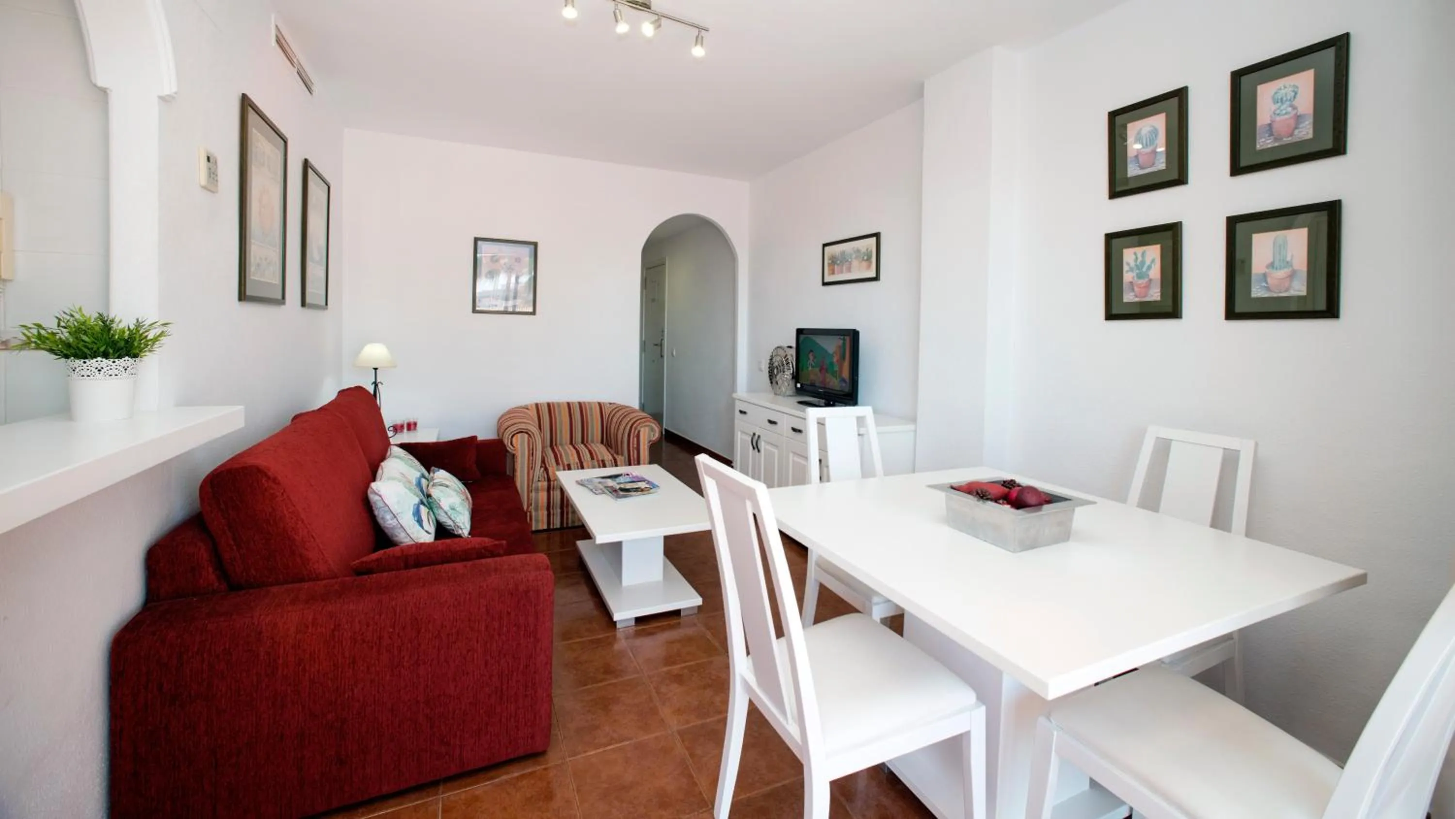 TV and multimedia in Leo Islamar