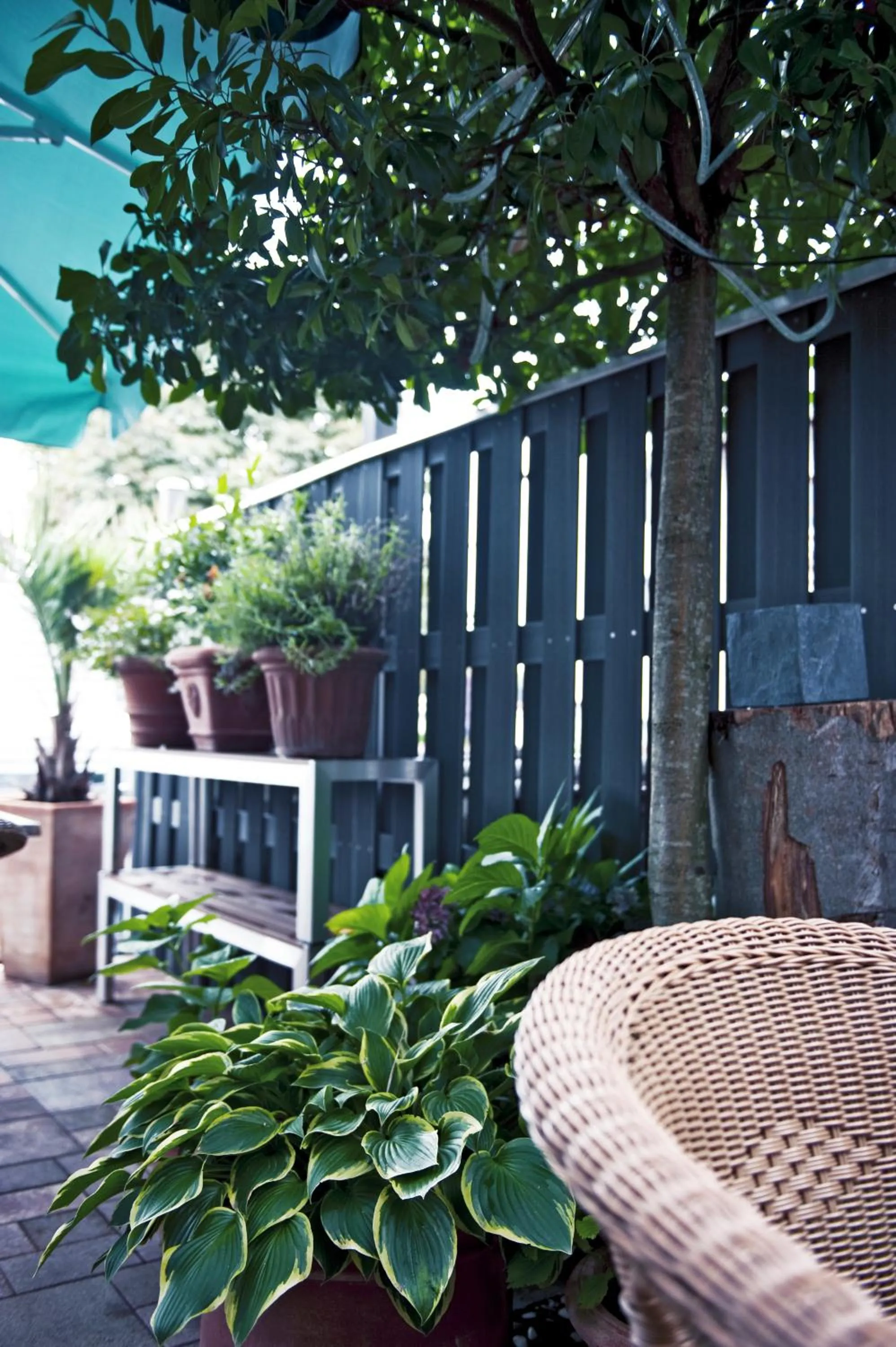 Facade/entrance in Tafelspitz