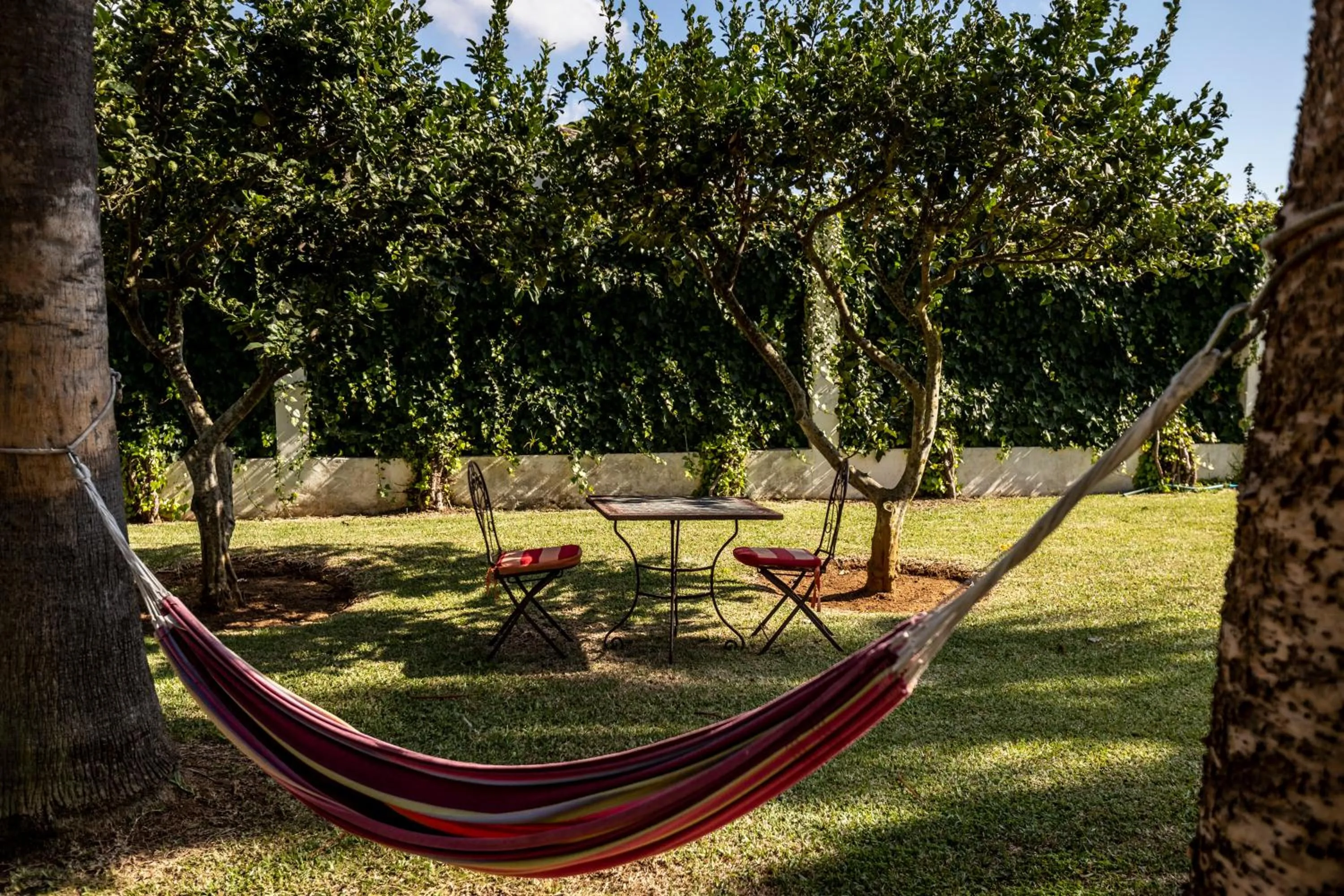 Garden in Paraiso Perdido