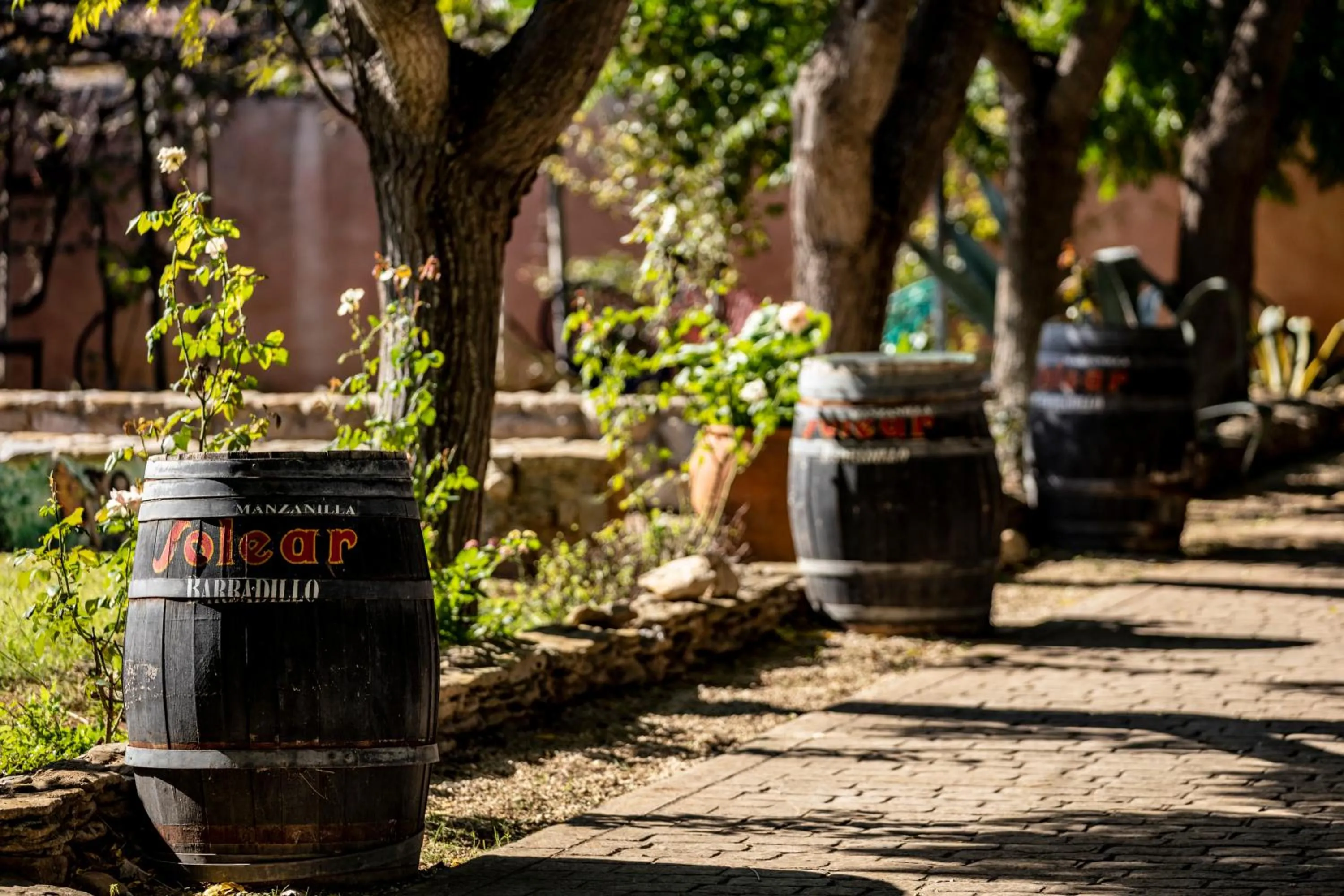 Garden in Paraiso Perdido