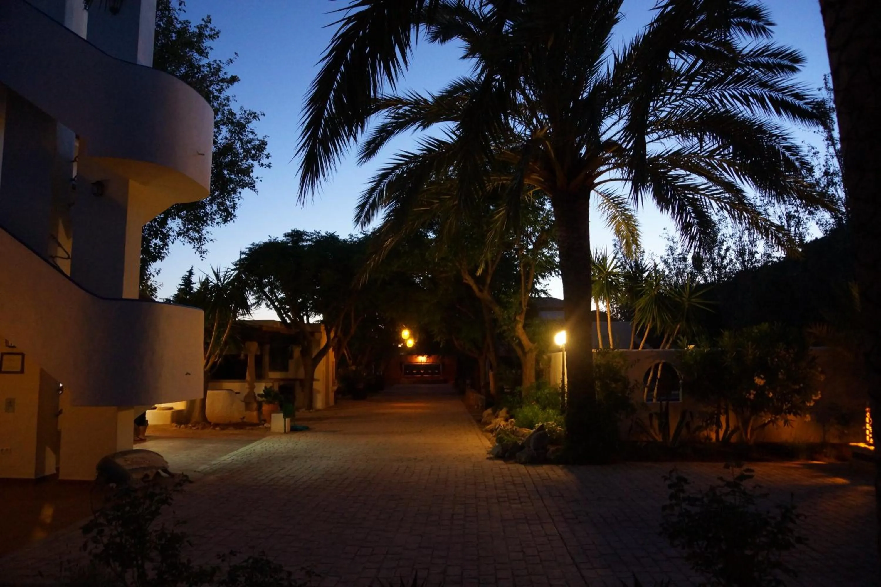 Night in Paraiso Perdido