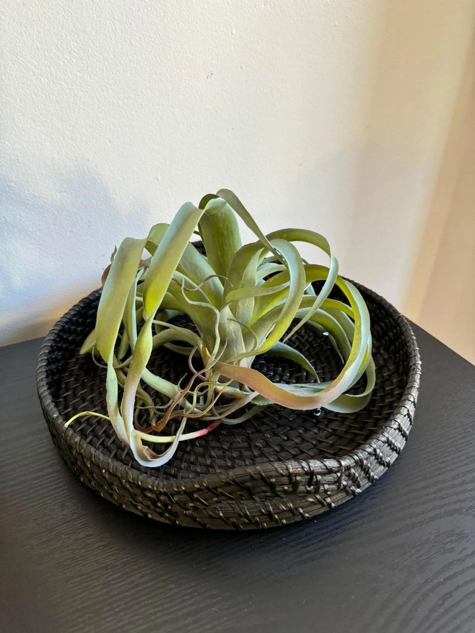 Decorative detail in Montblu at Echo Point