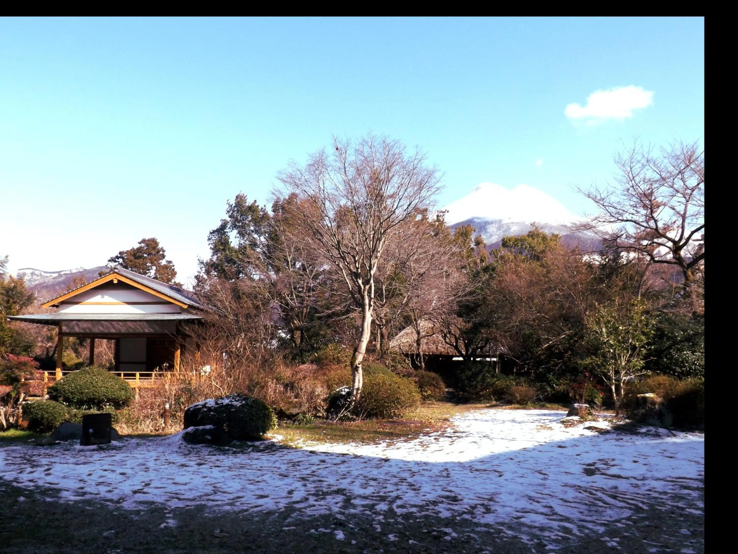 Garden in Yufuin Kotobuki Hananosho