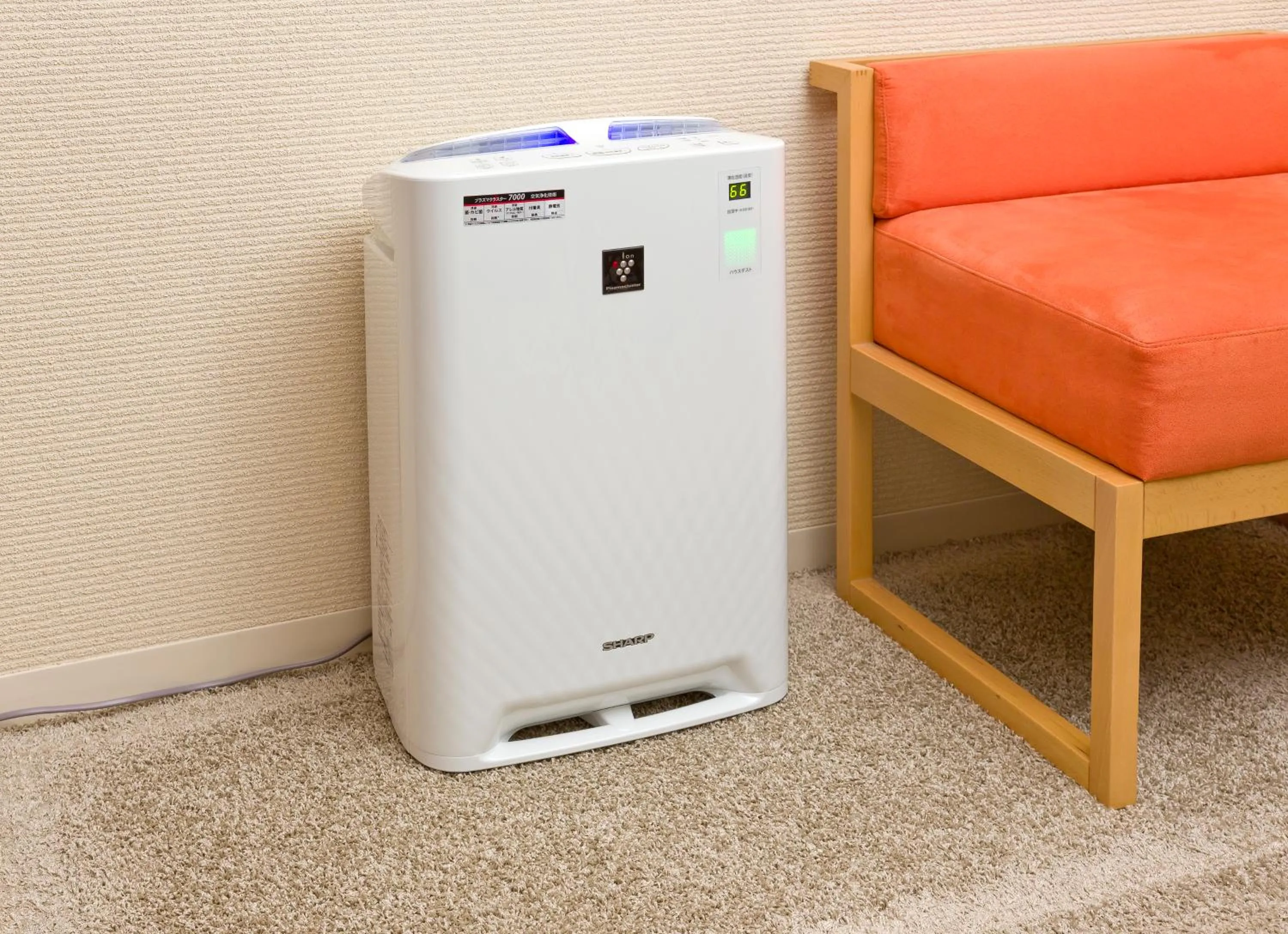 Decorative detail in Cocochee Hotel Numazu