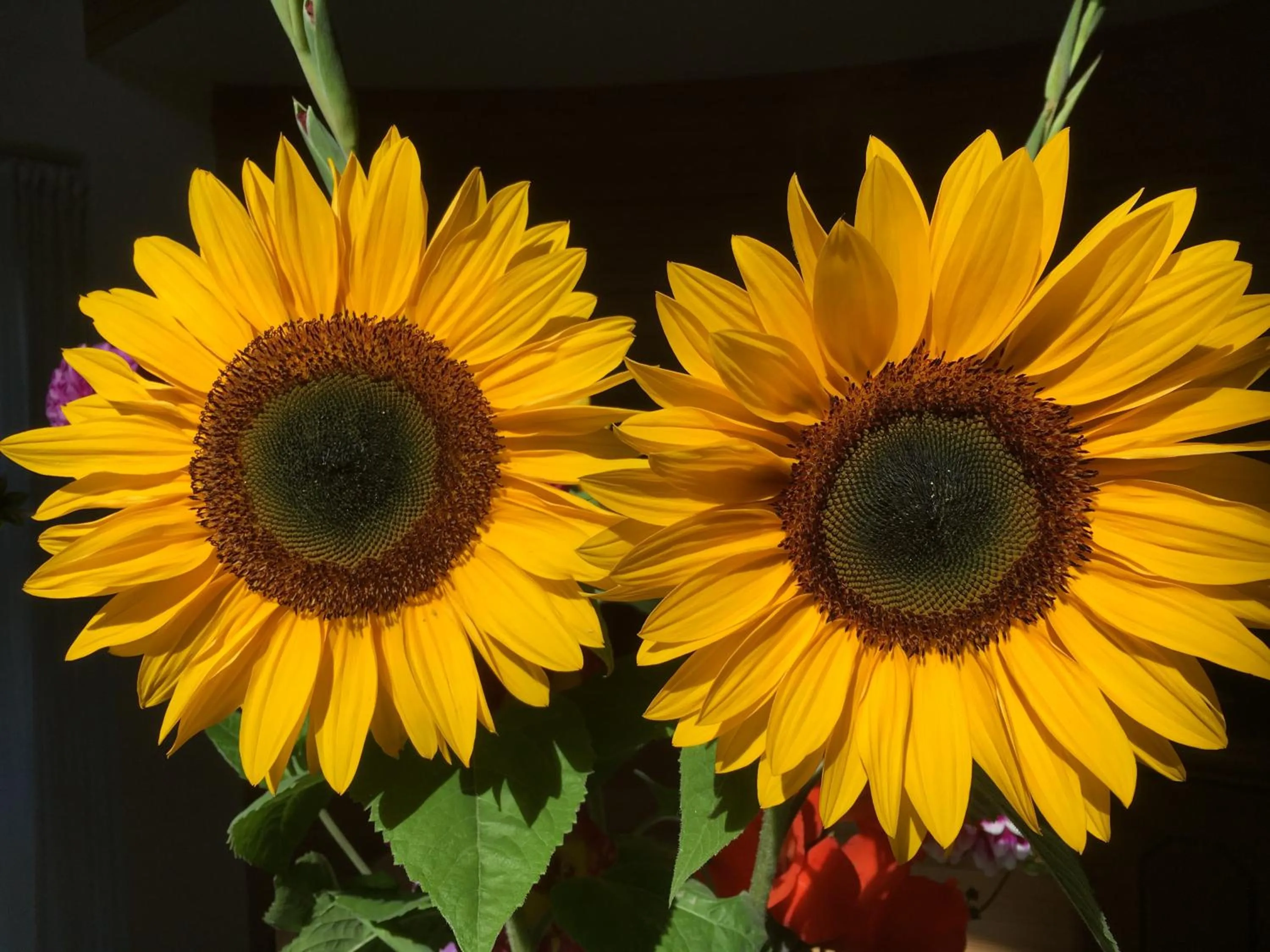 Decorative detail in Helts B&B - Helts Guesthouse