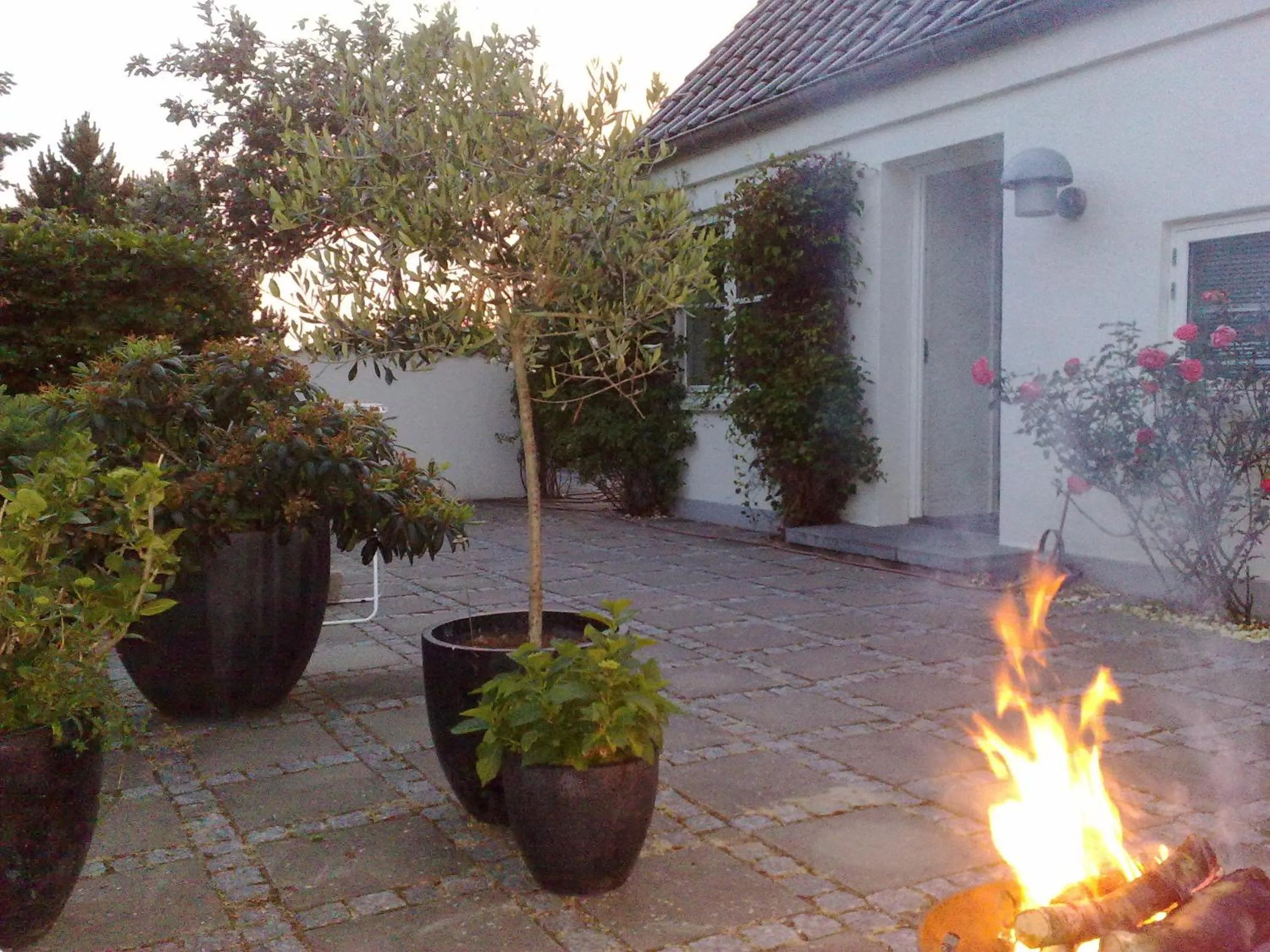 Patio in Helts B&B - Helts Guesthouse