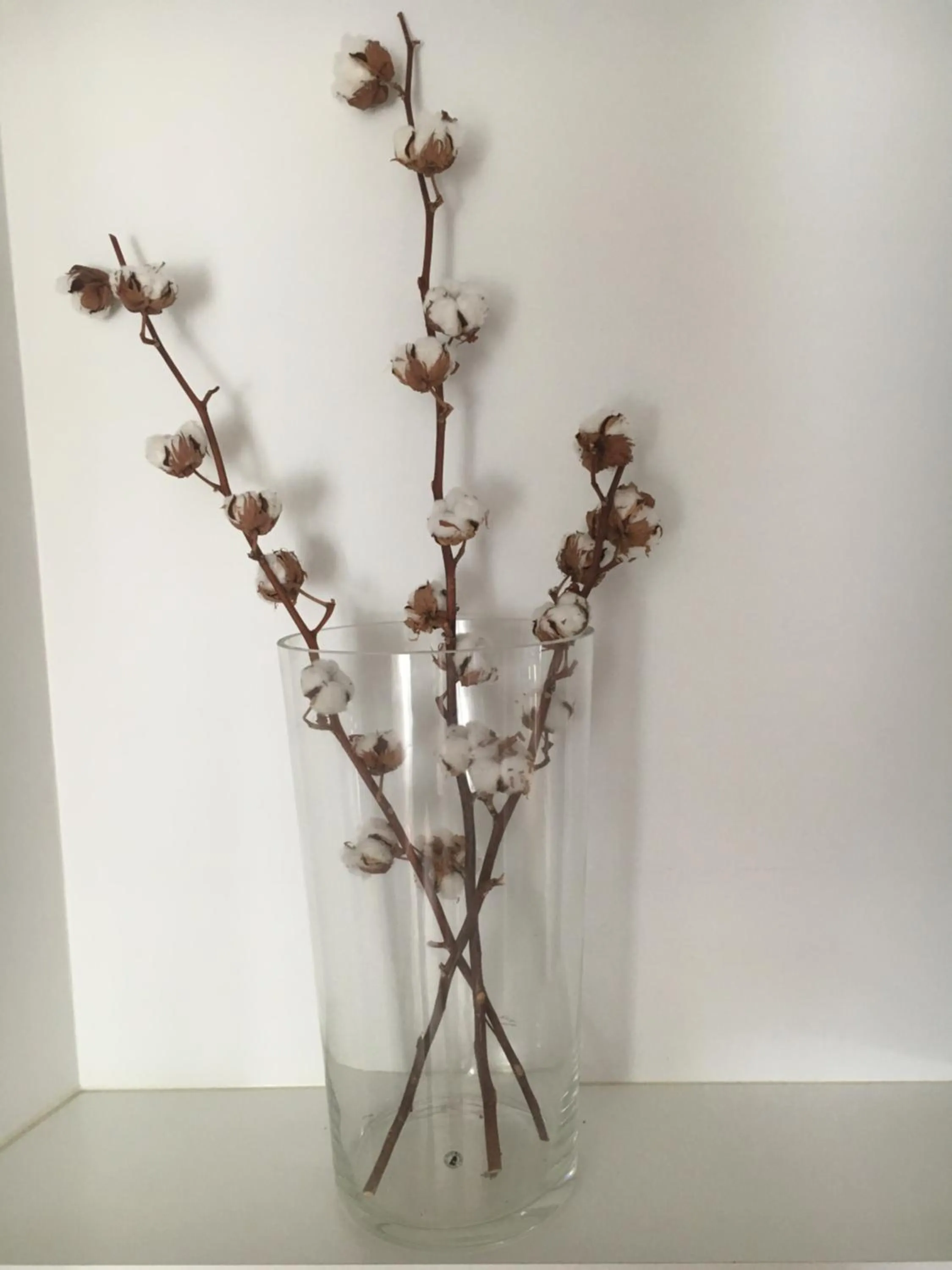 Decorative detail in Helts B&B - Helts Guesthouse