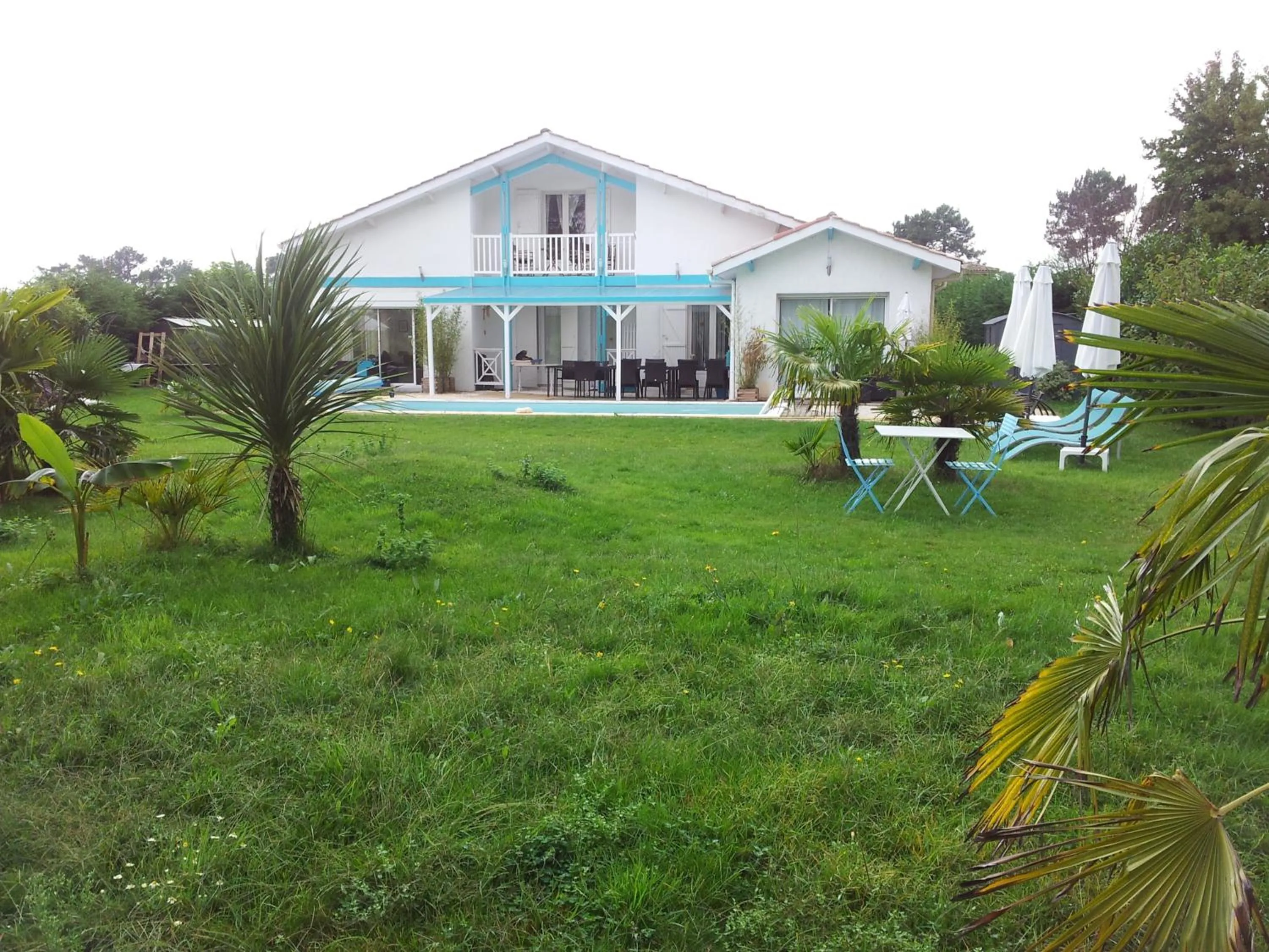 Garden view in Villa Saint Barth