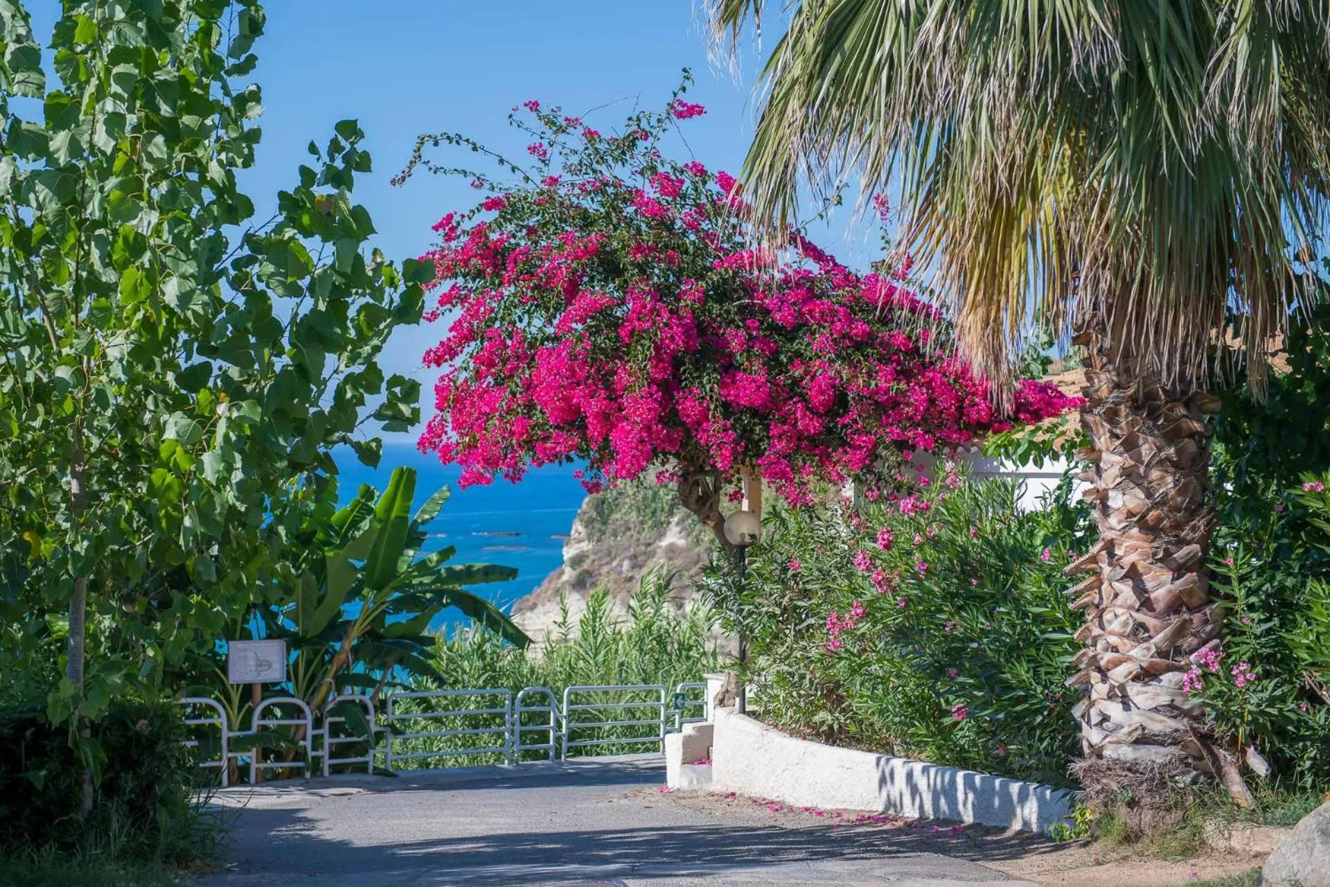 Garden in Hotel Villaggio Stromboli