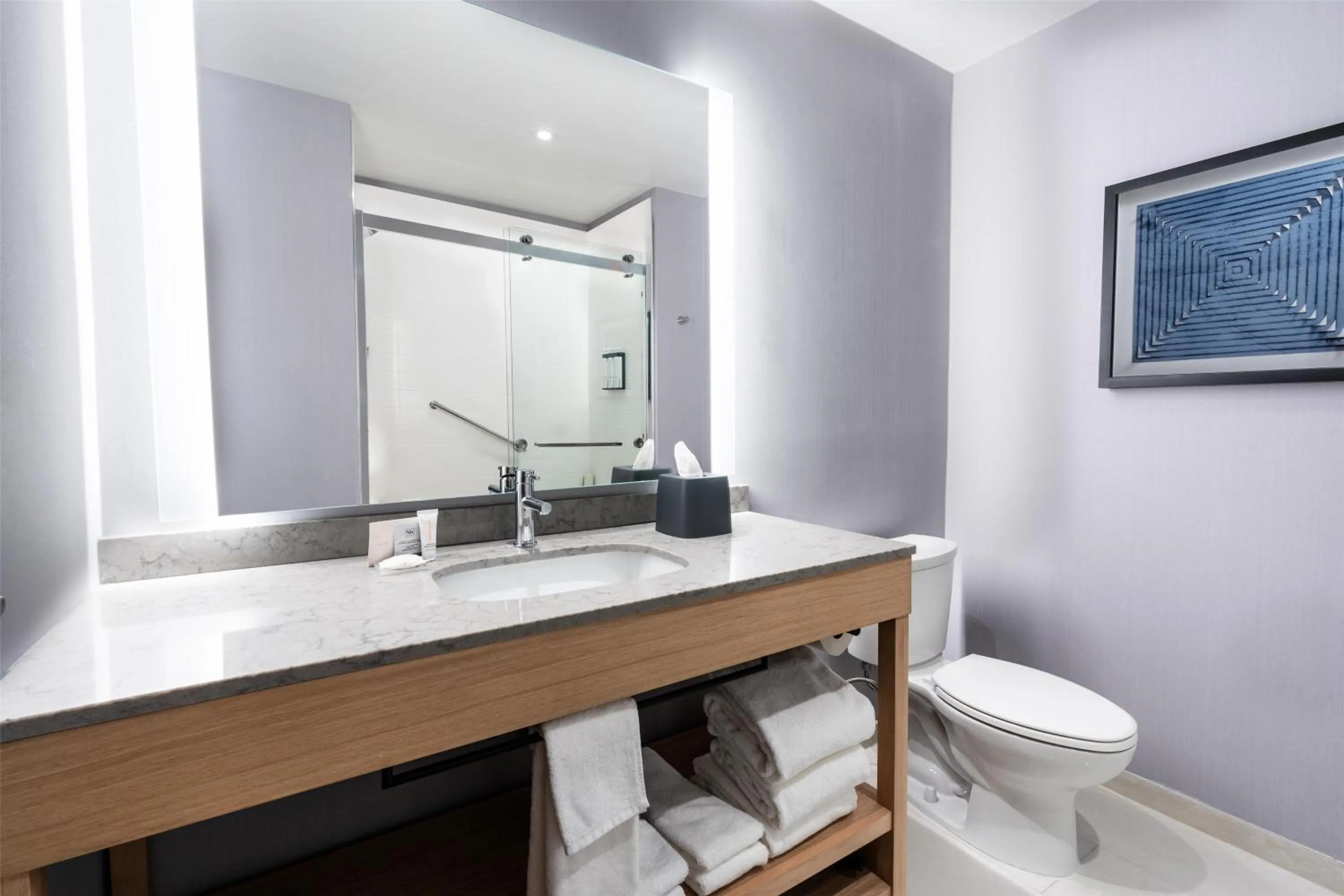 Bathroom in Hyatt Place Eagle Pass