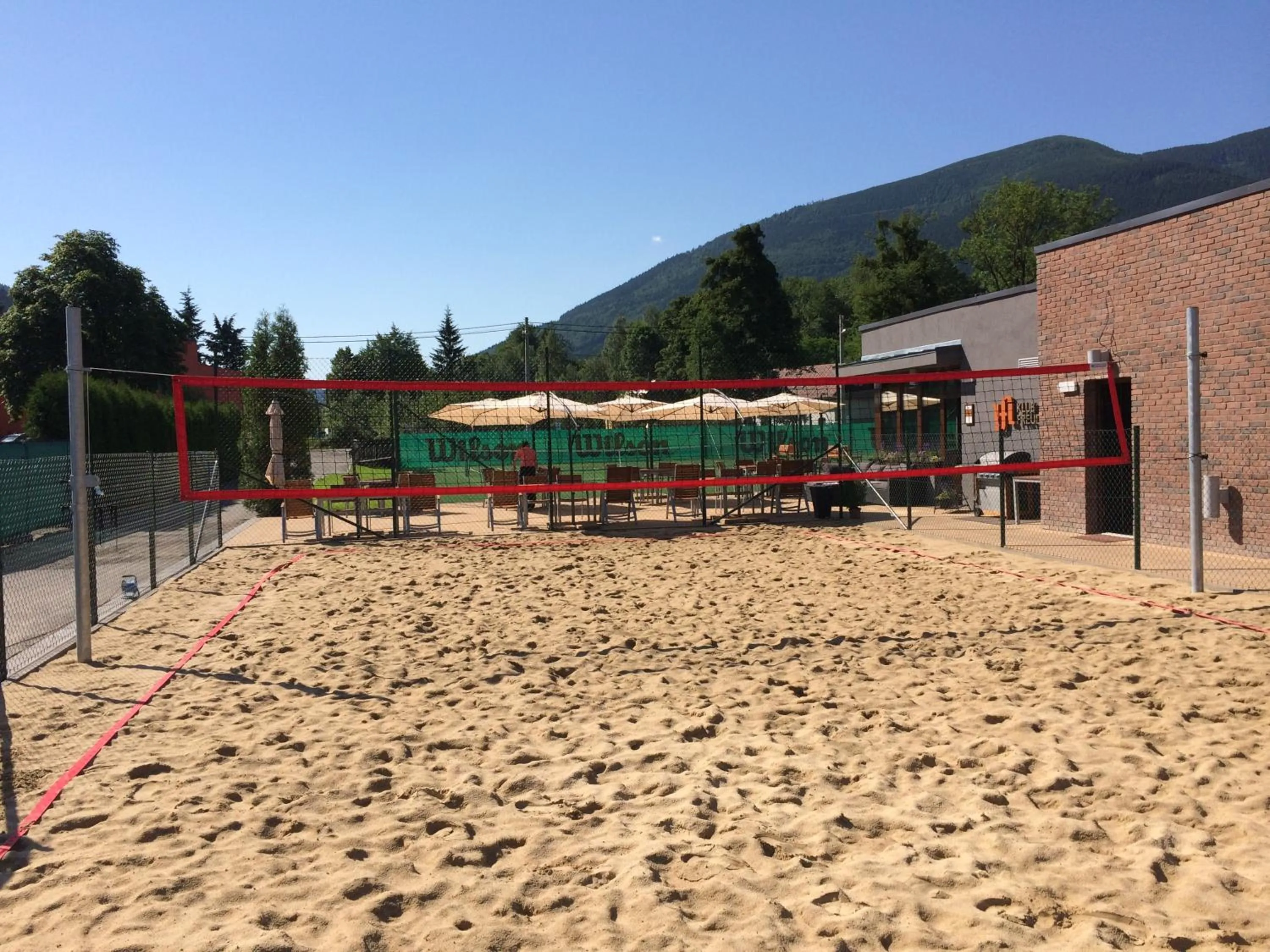 Summer in Hotel Freud