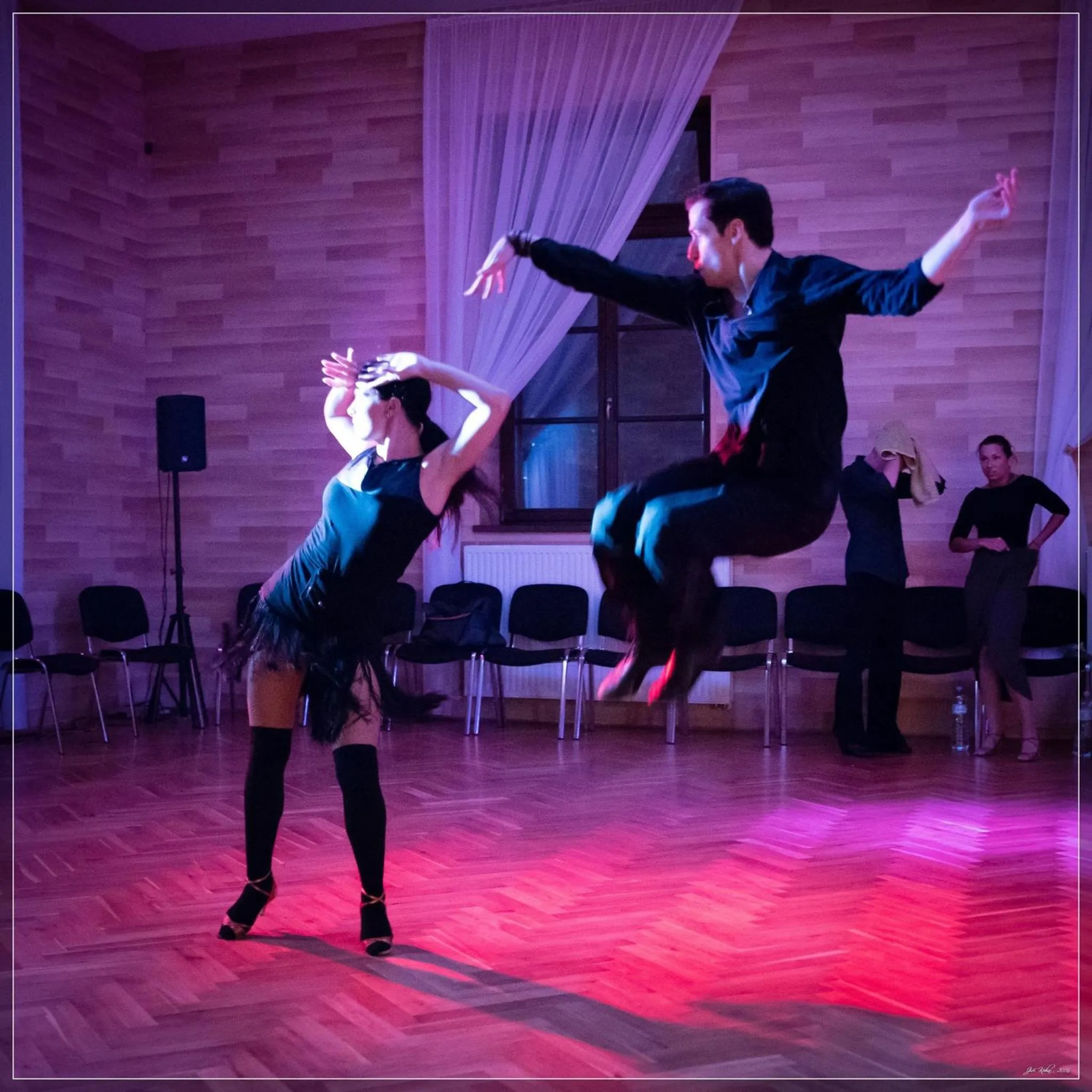 Activities in Hotel Freud