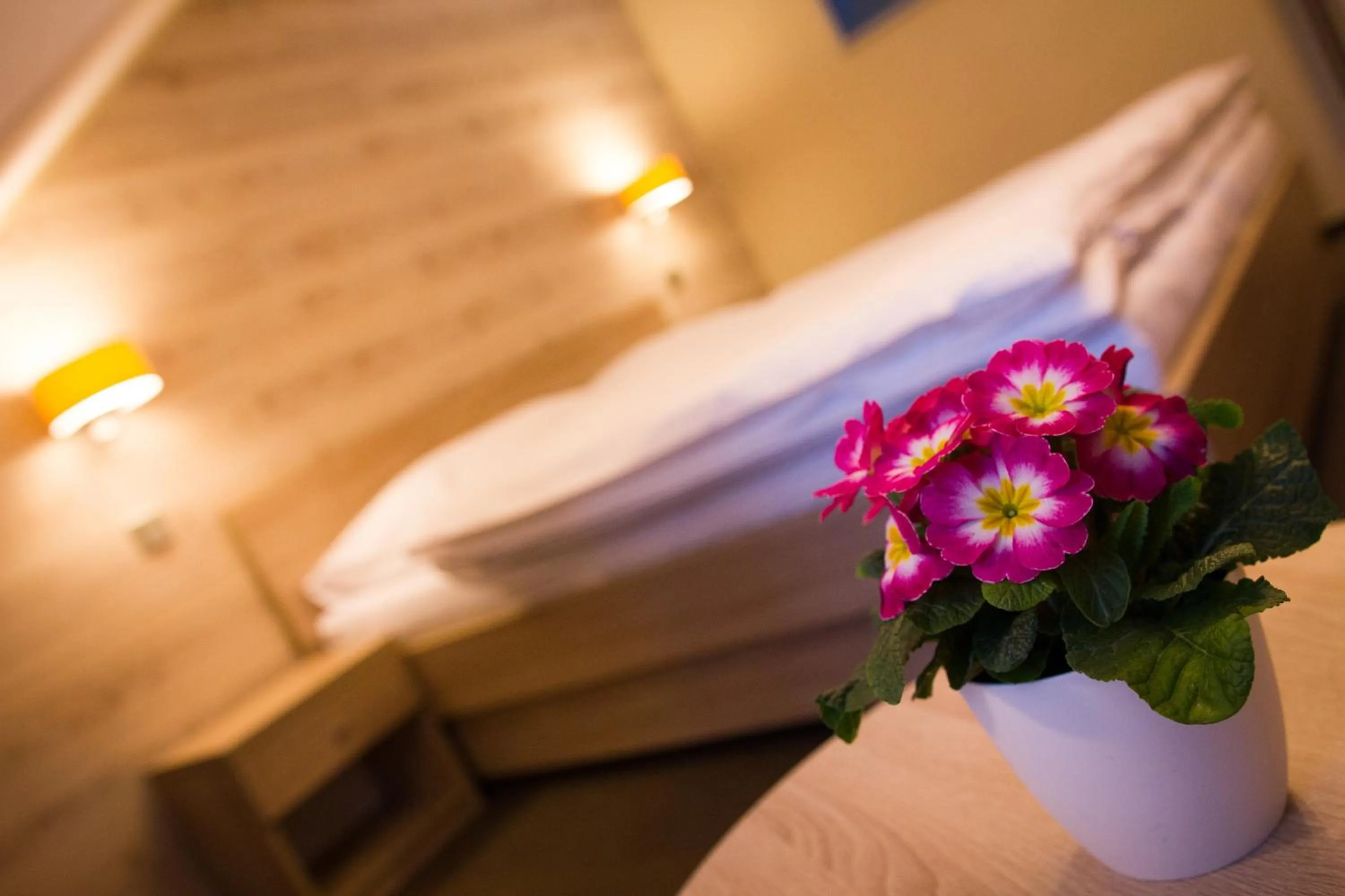 Decorative detail, Bed in Hotel Freud