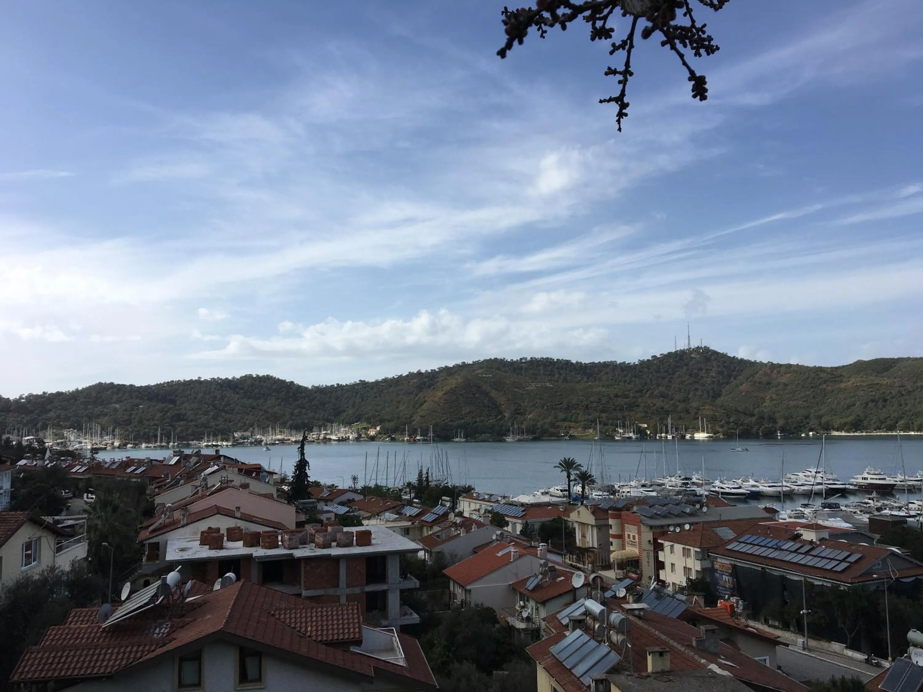 View (from property/room) in El Camino Hostel & Pub